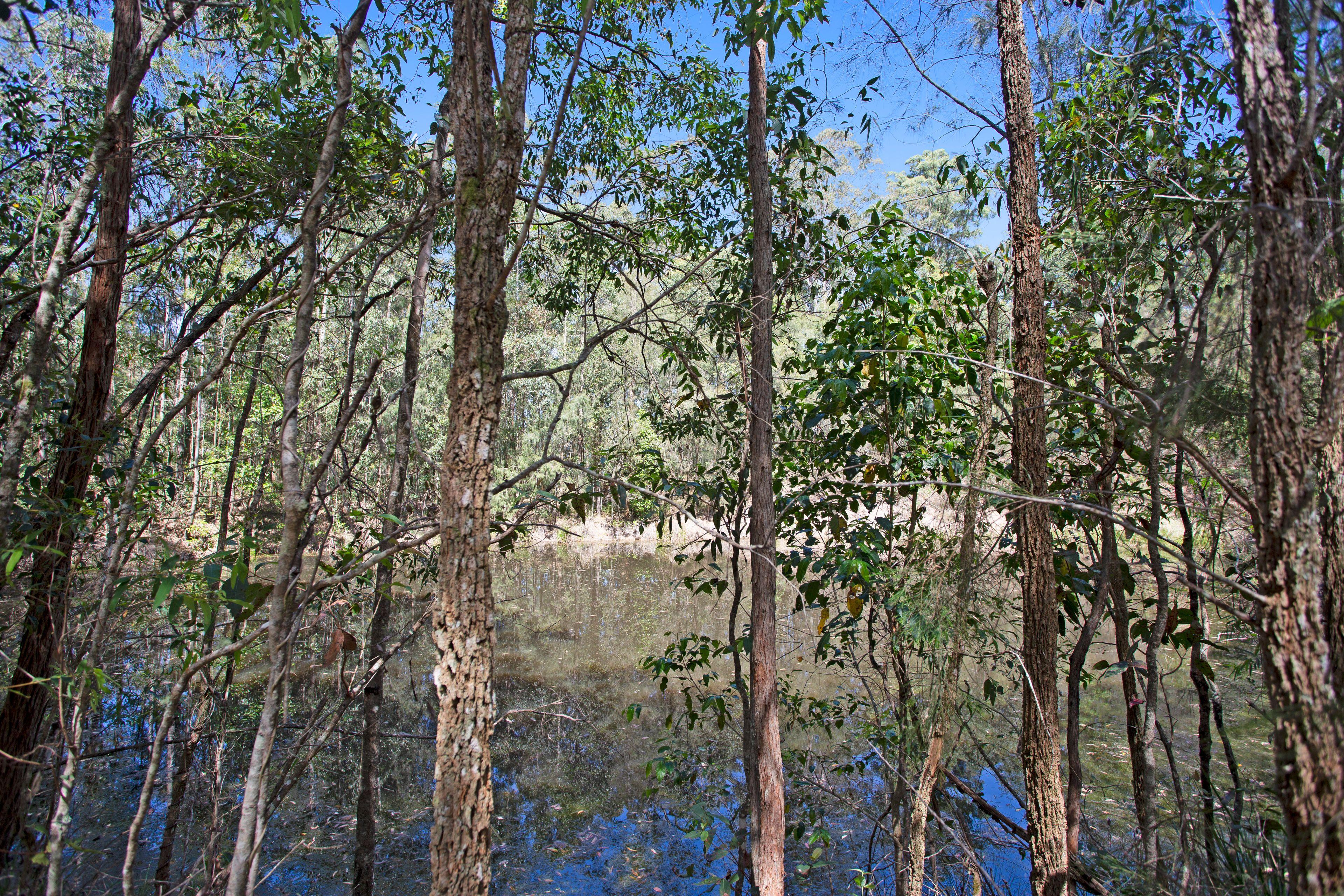 A Peaceful Retreat within 5 minutes of Bulahdelah