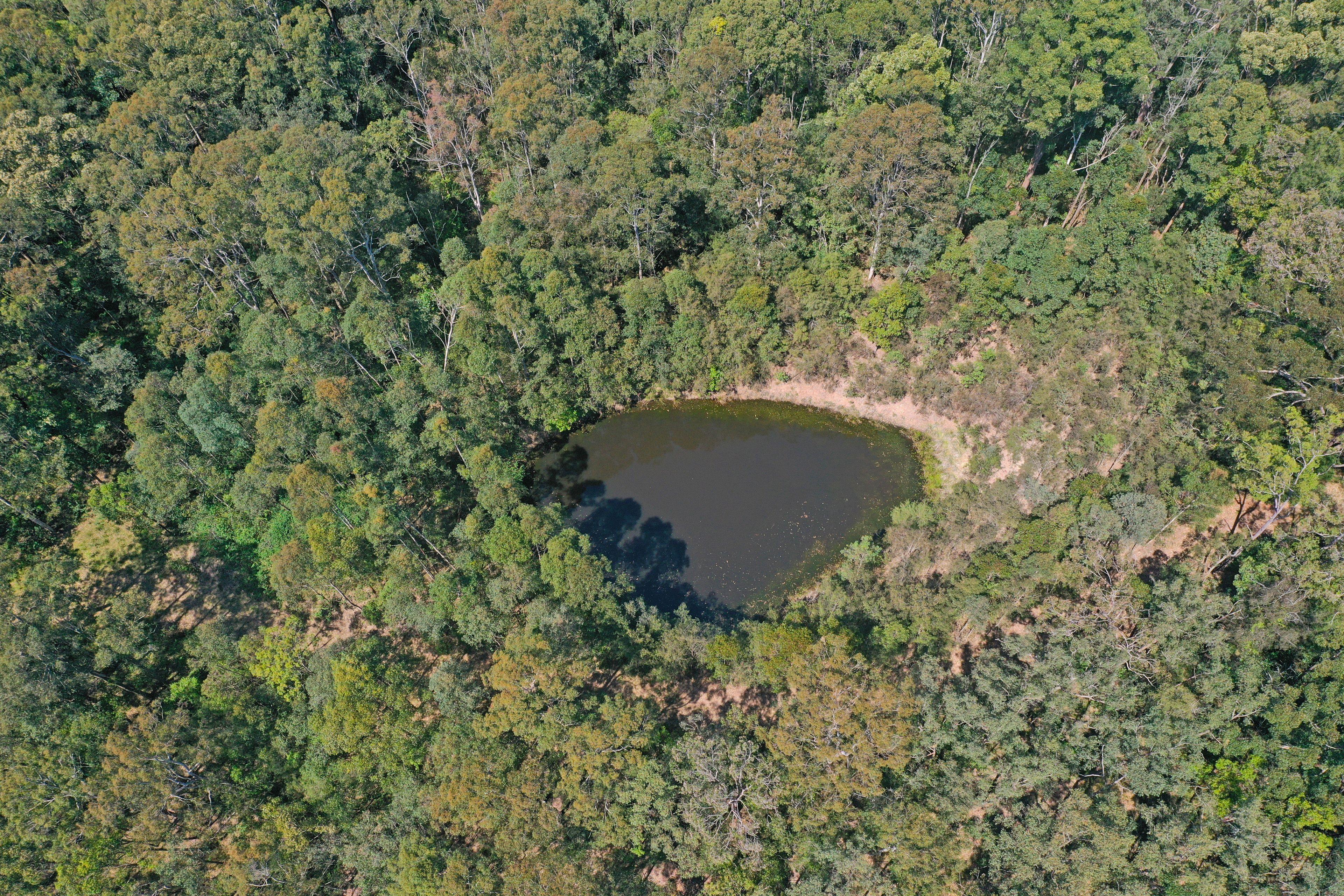 A Peaceful Retreat within 5 minutes of Bulahdelah