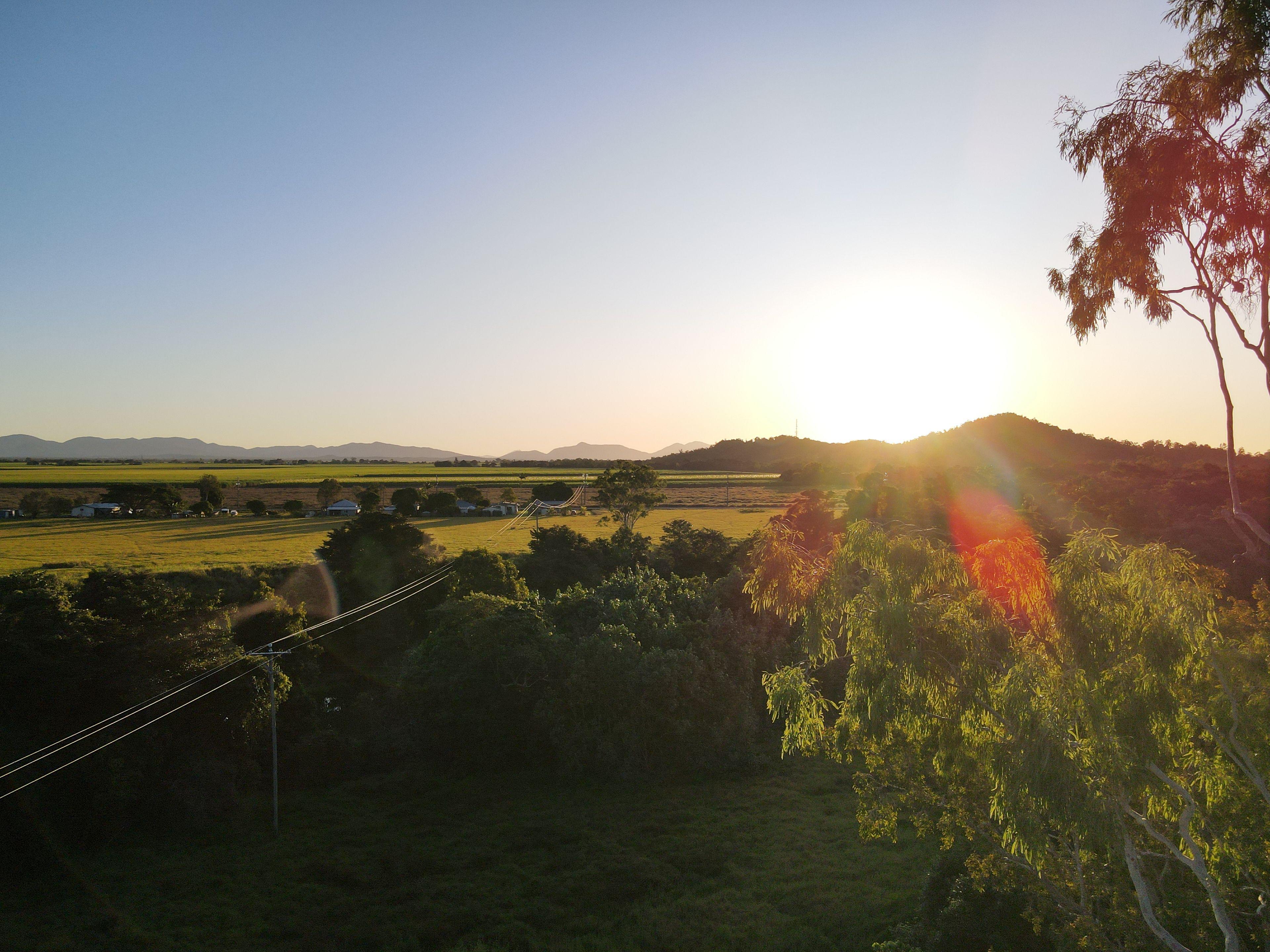 Country Queensland Charmer!