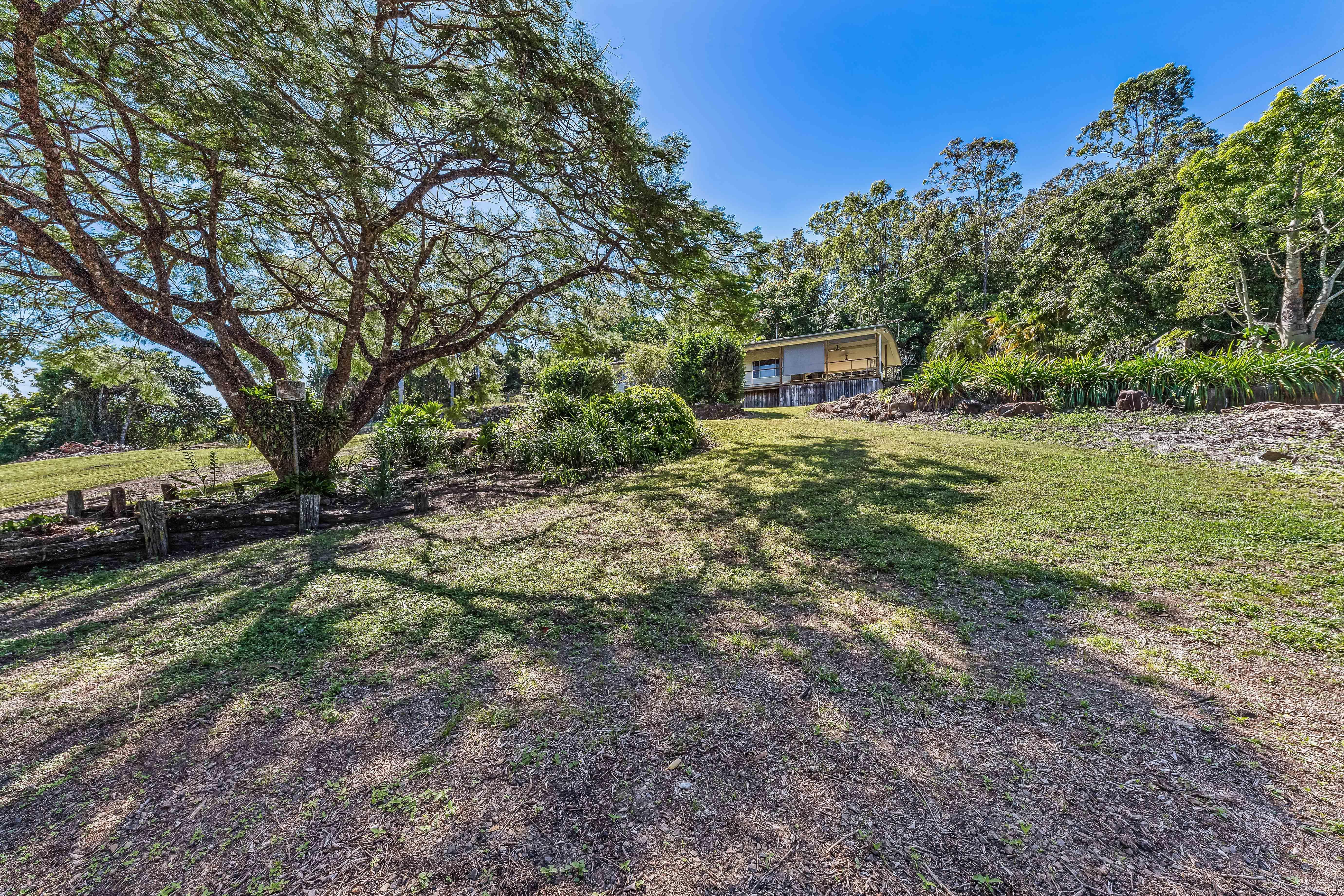 Country Queensland Charmer!