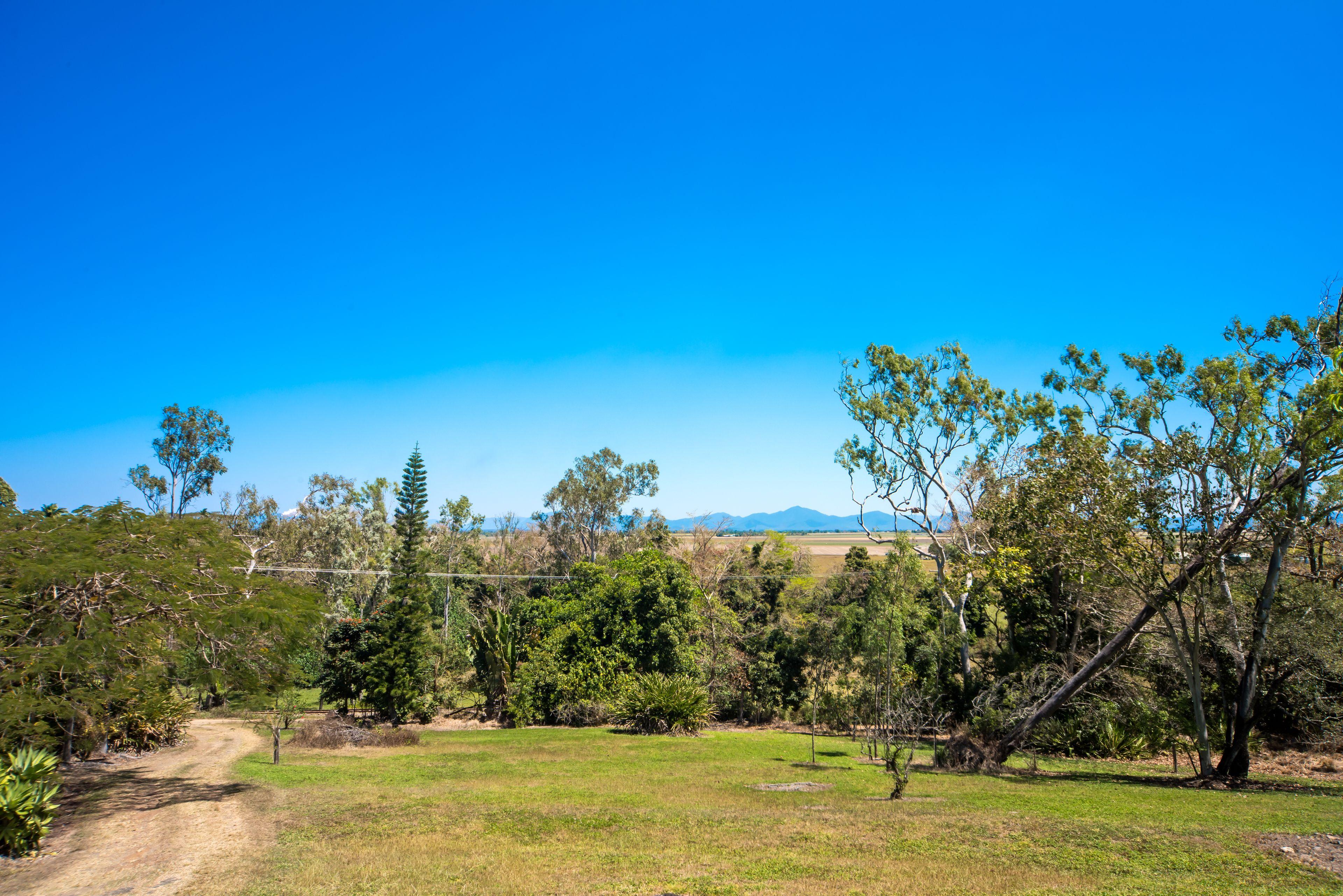 Country Queensland Charmer!