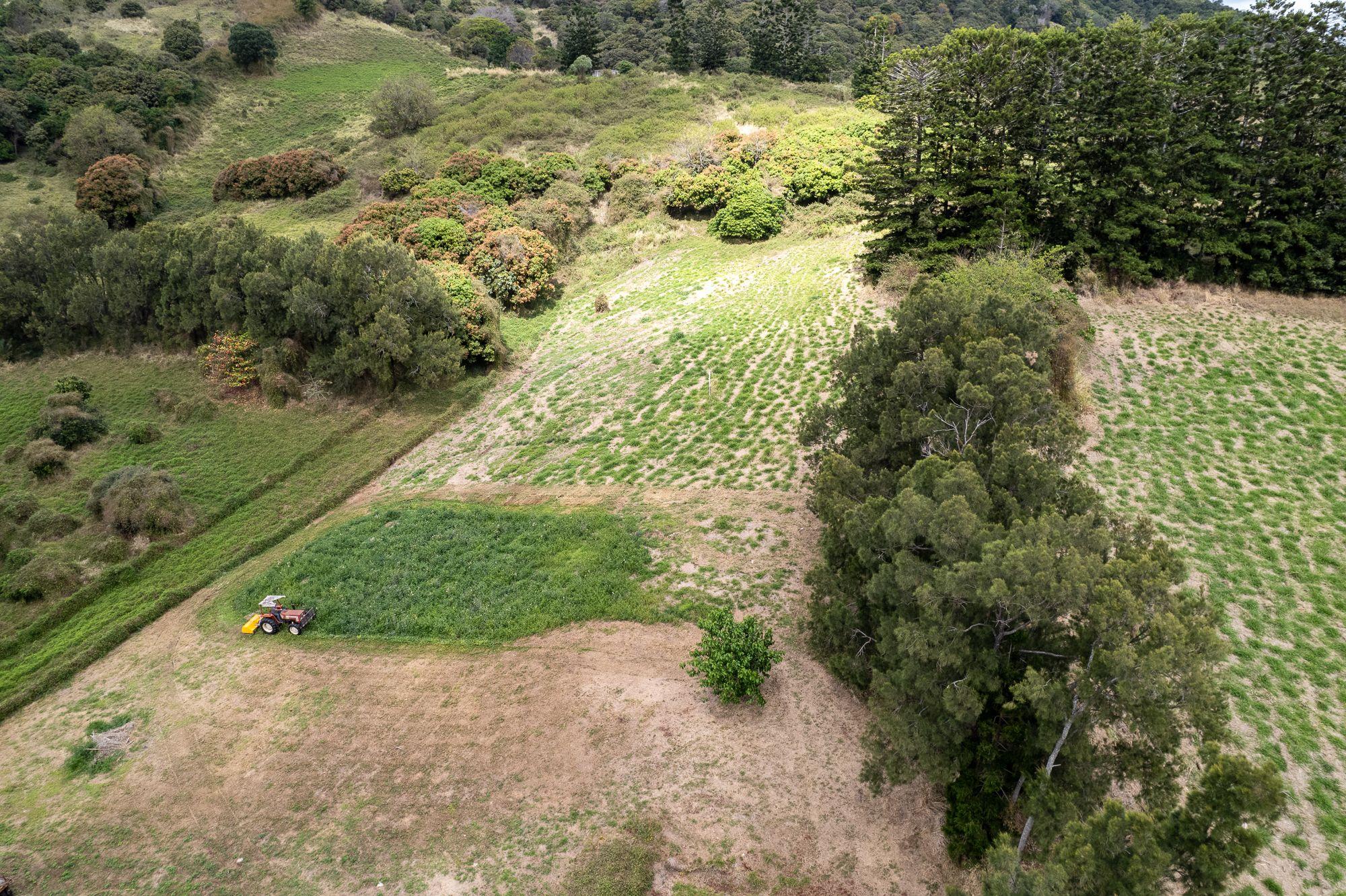 3brm home on 24.63 acres