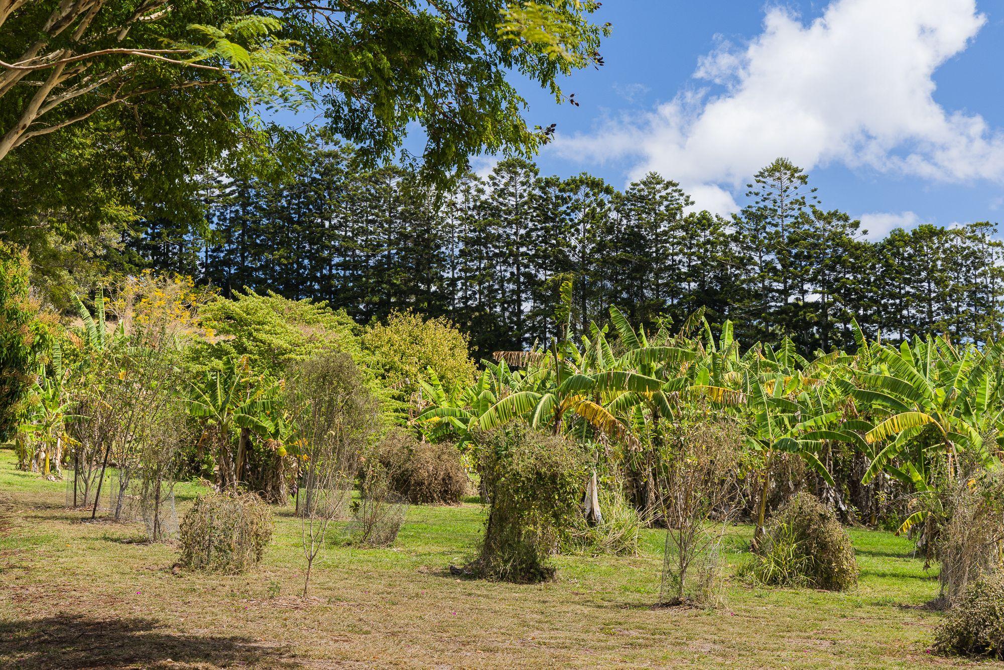 3brm home on 24.63 acres
