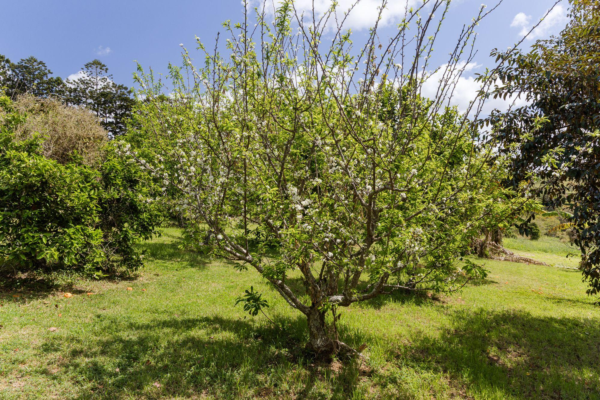 3brm home on 24.63 acres