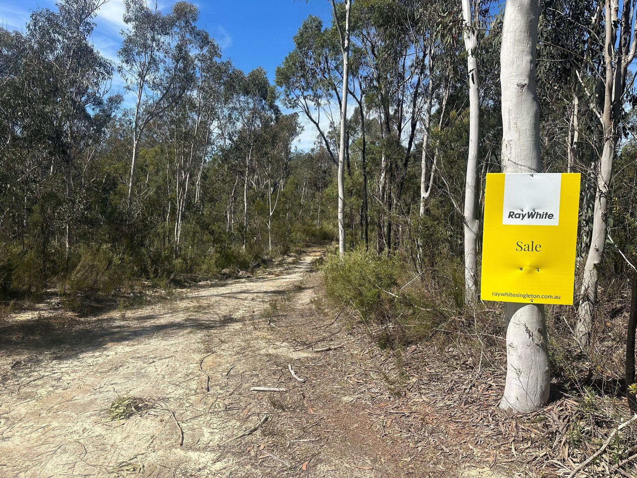 Prop-GPT: Lifestyle: NSW Howes Valley, NSW 2330 Untouched Bushland Escape - 130.5 Hectares (322 Acres)