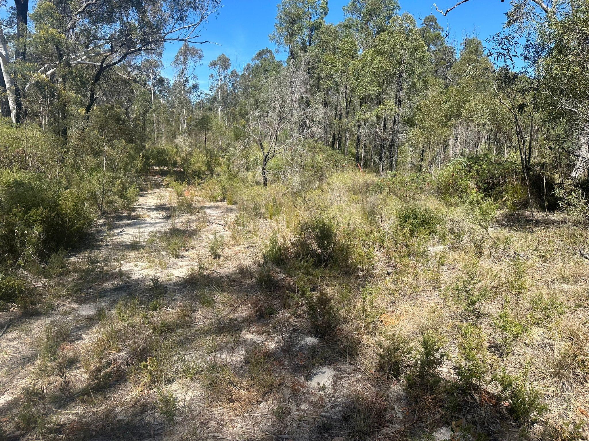 Untouched Bushland Escape - 130.5 Hectares (322 Acres)