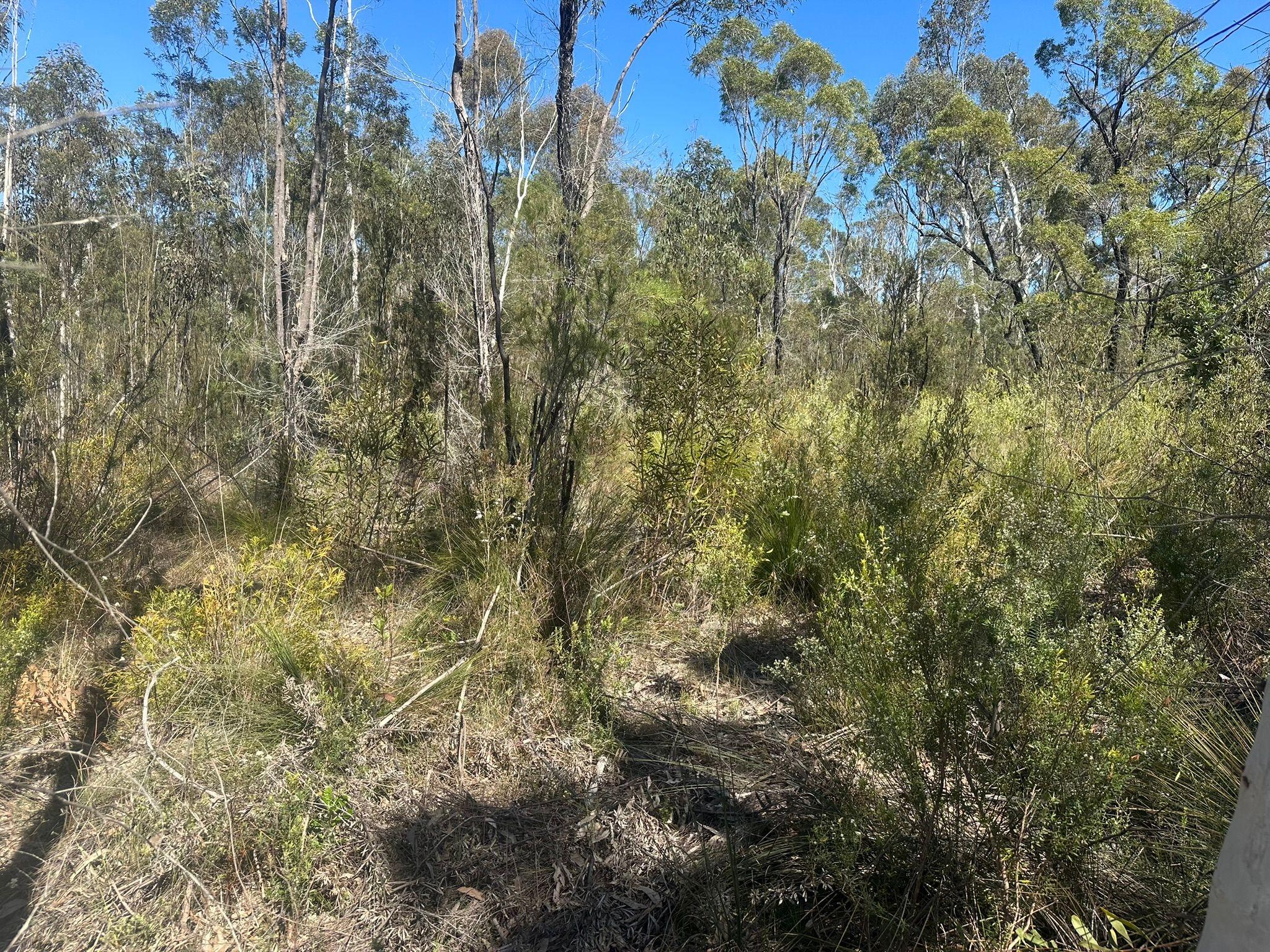 Untouched Bushland Escape - 130.5 Hectares (322 Acres)