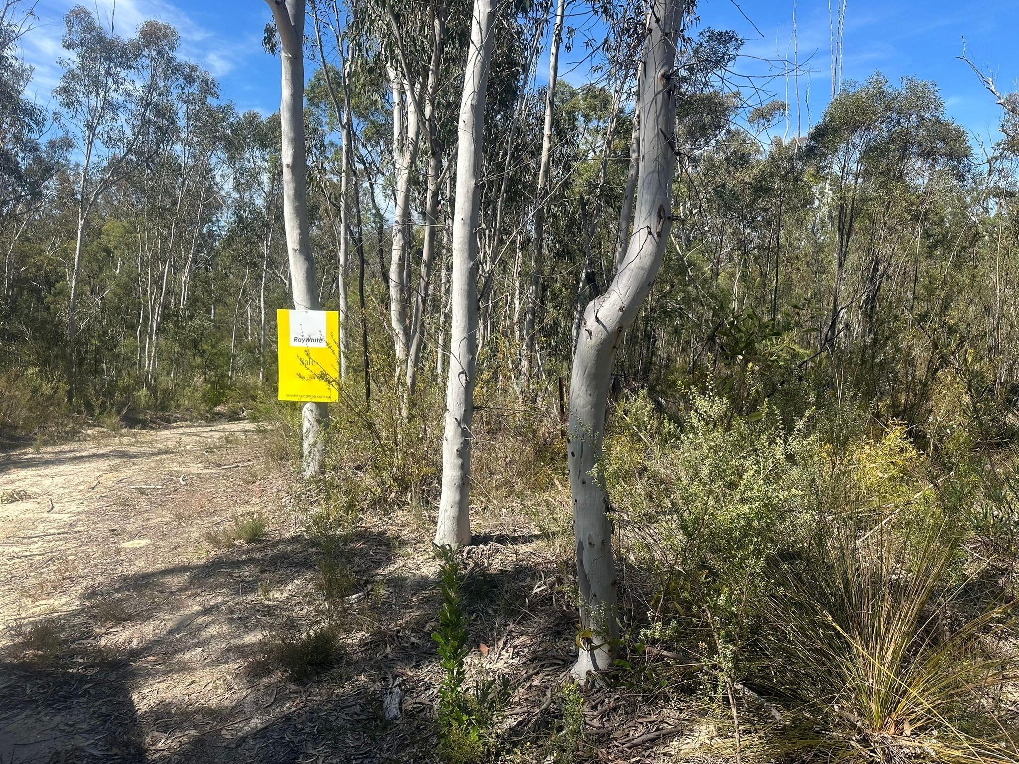 Untouched Bushland Escape - 130.5 Hectares (322 Acres)