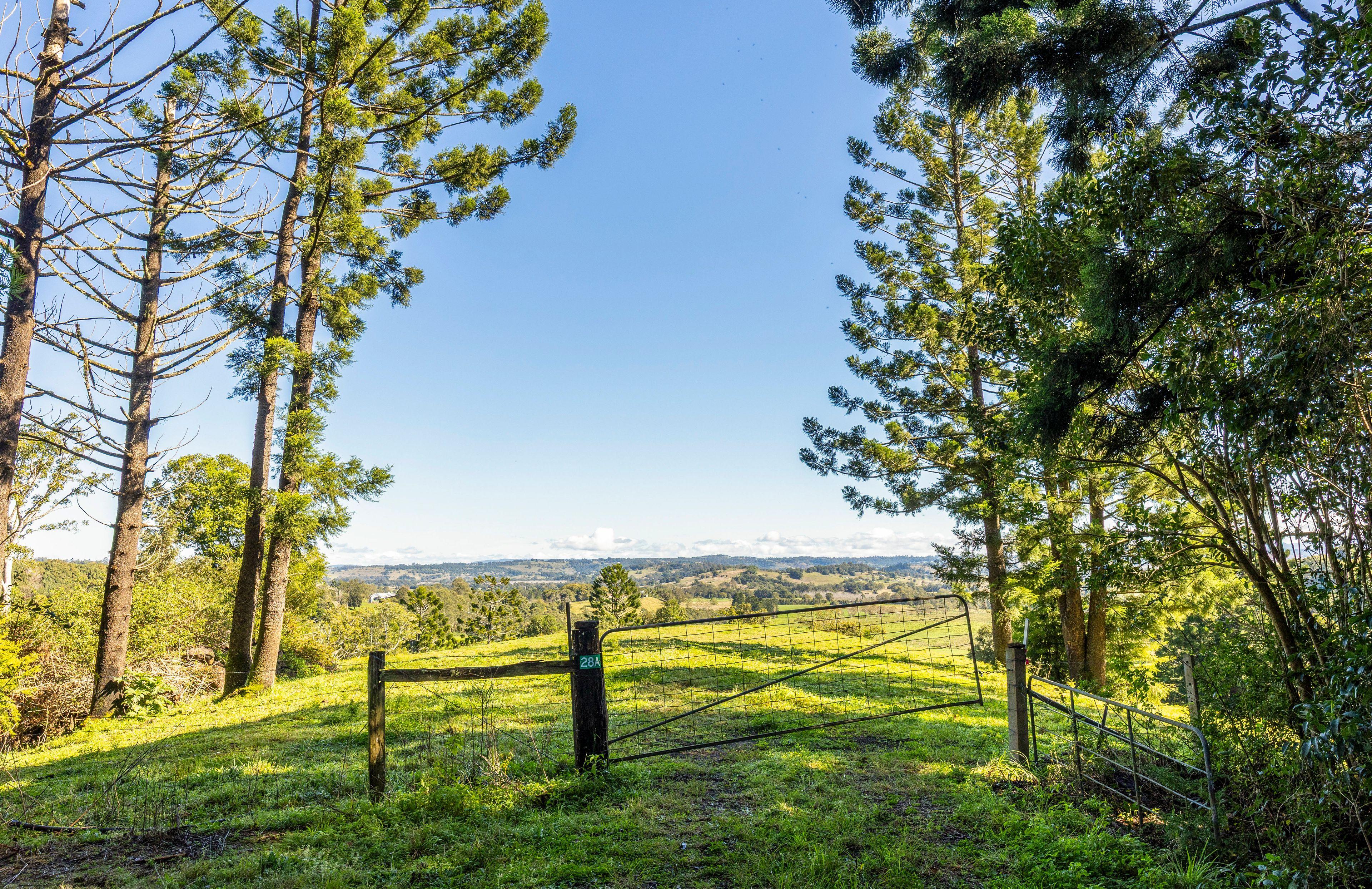 Panoramic Views in Paradise