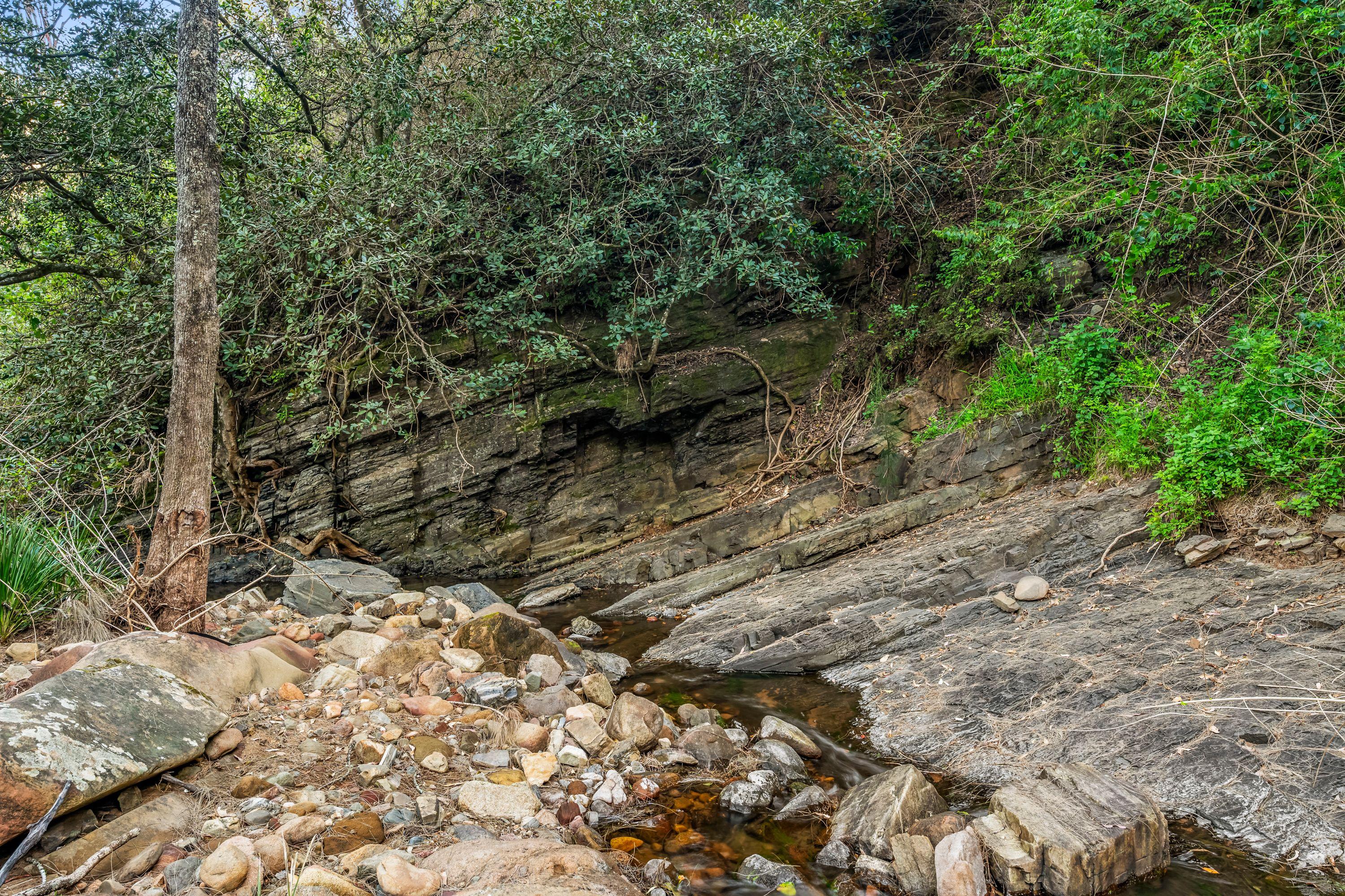 CARROWBROOK - Secluded 16.19ha (40-Acre) Bush Retreat with Creek Frontage