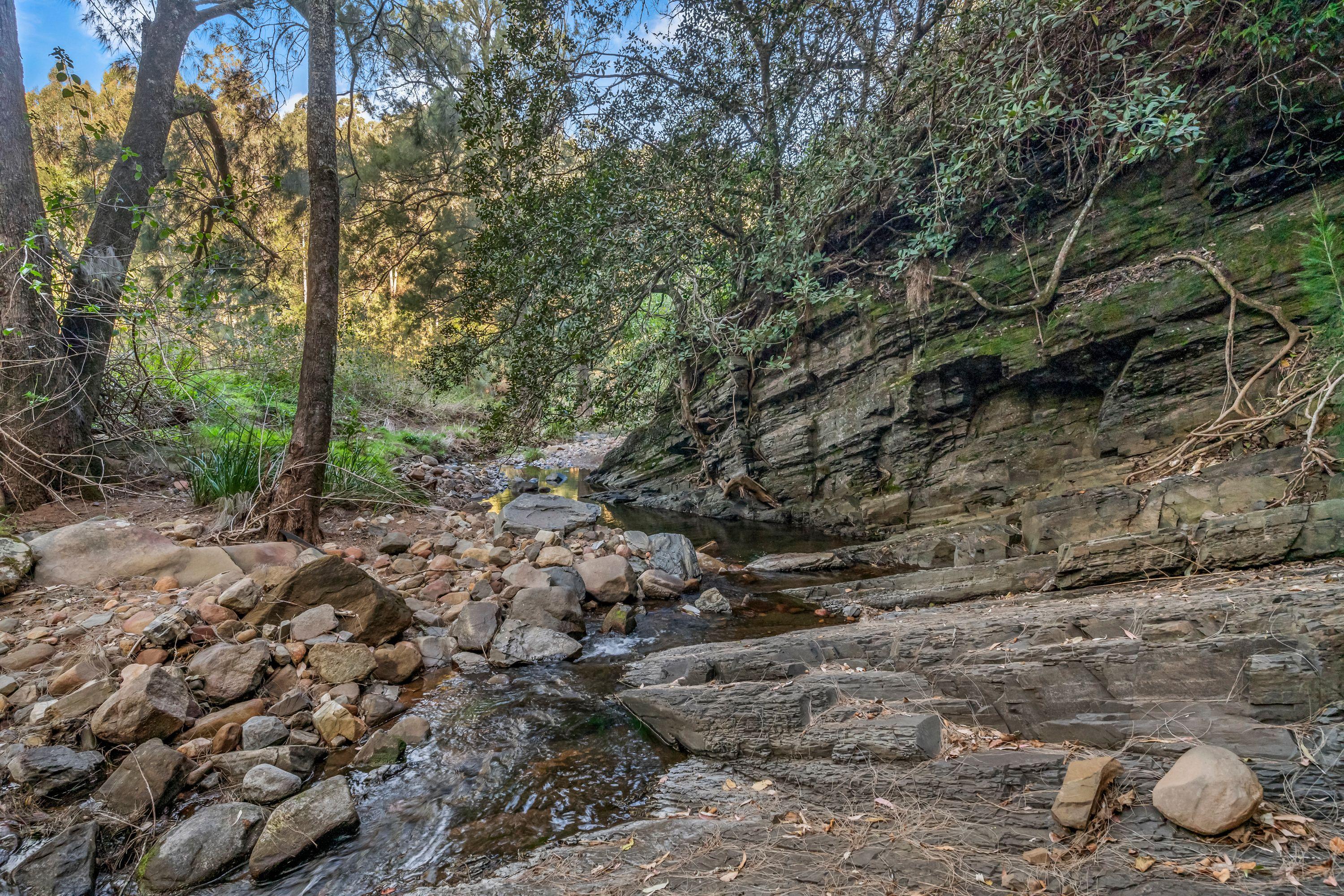 CARROWBROOK - Secluded 16.19ha (40-Acre) Bush Retreat with Creek Frontage
