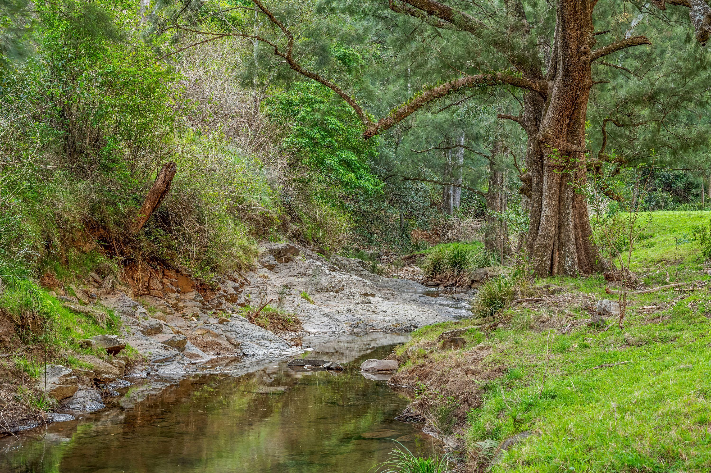 CARROWBROOK - Secluded 16.19ha (40-Acre) Bush Retreat with Creek Frontage