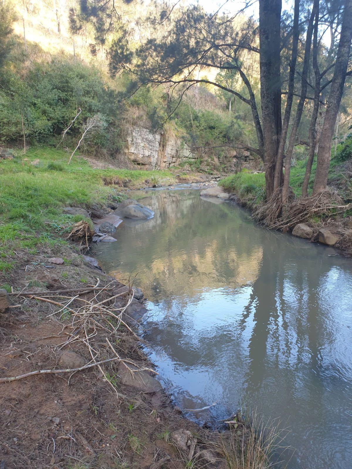 CARROWBROOK - Secluded 16.19ha (40-Acre) Bush Retreat with Creek Frontage