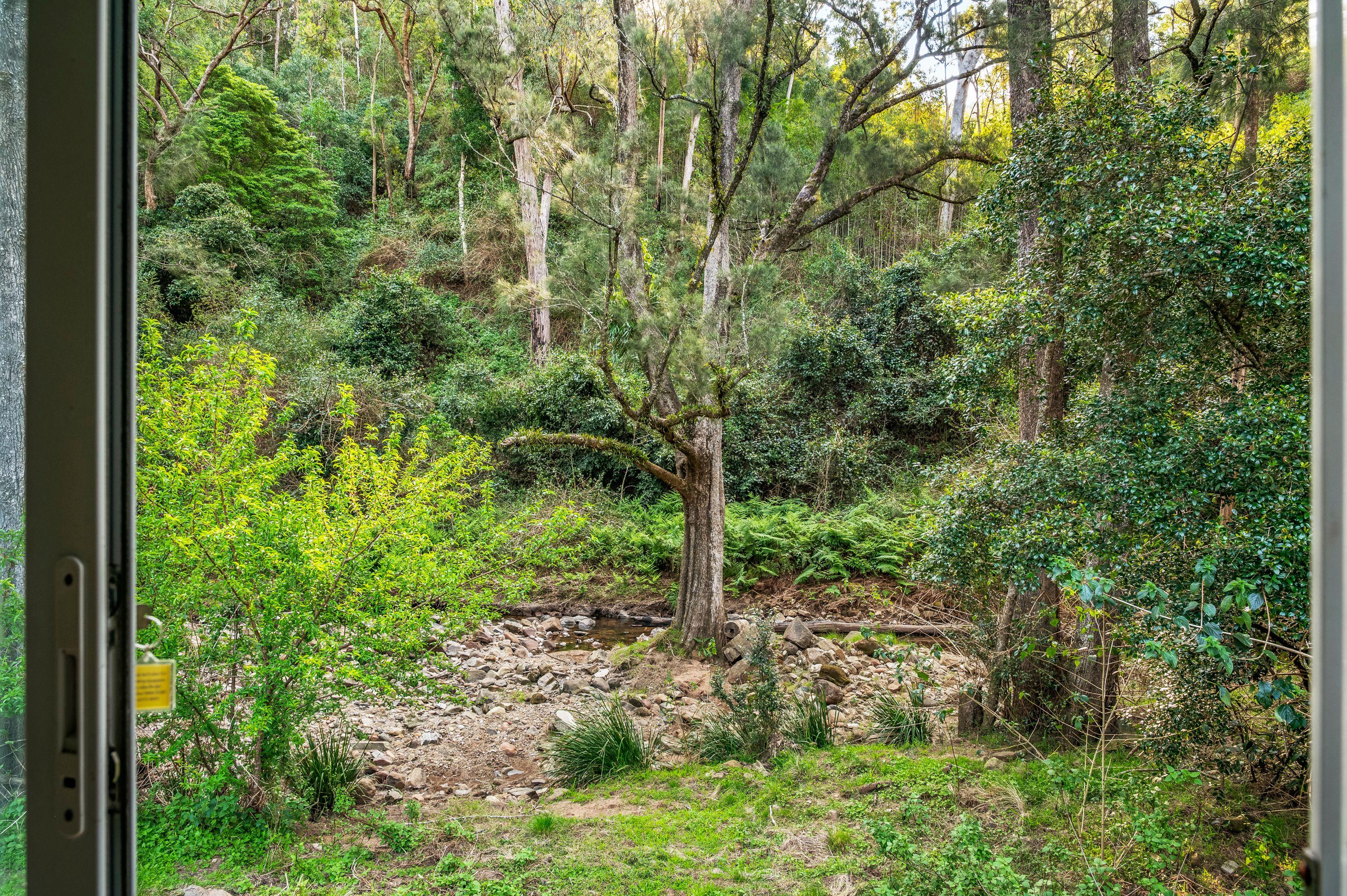 CARROWBROOK - Secluded 16.19ha (40-Acre) Bush Retreat with Creek Frontage