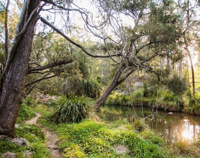 Mount Barney Lodge - Scenic Rim Eco-Tourism Gem - Now Offered for Sale by Auction
