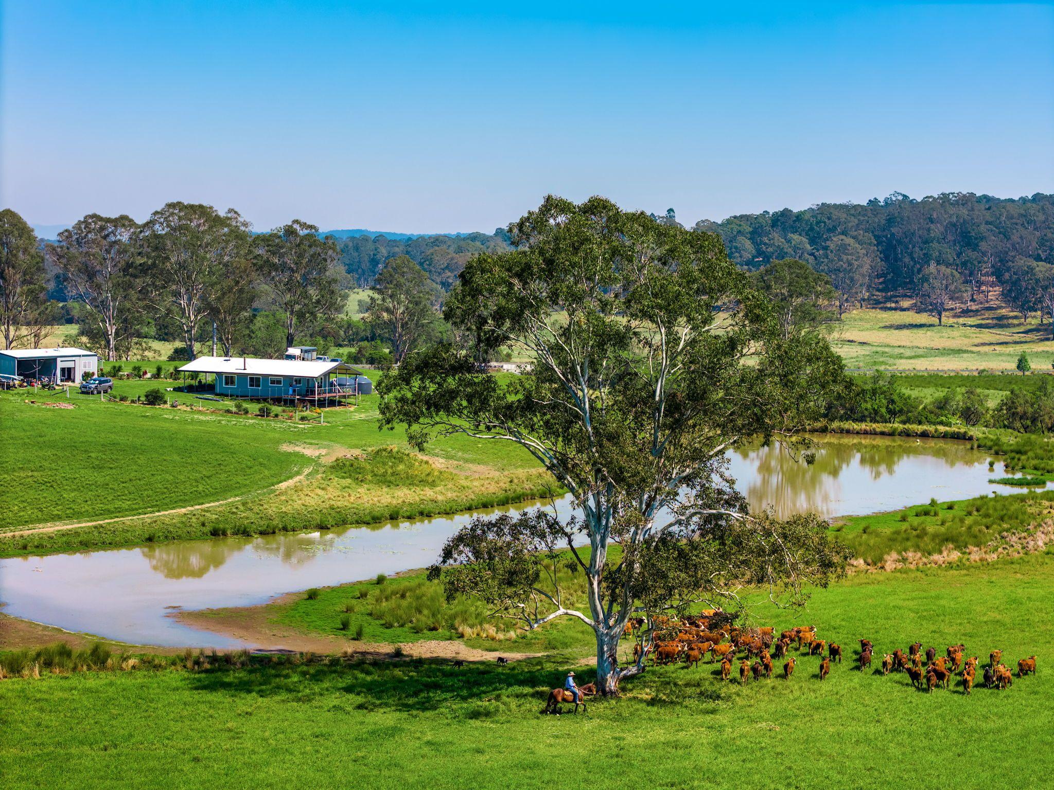 Prop-GPT: Lifestyle: NSW Sandilands, NSW 2469 Modern Country Living on 55 Hectares - Space, Style & Serenity