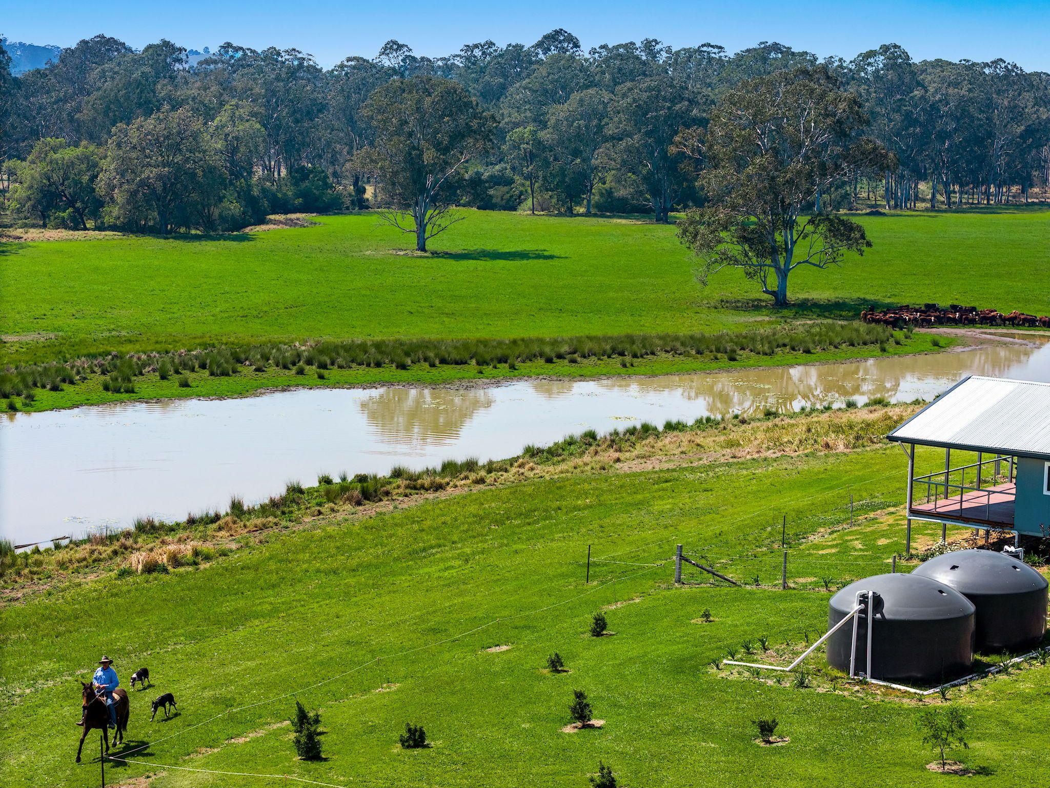 Modern Country Living on 55 Hectares - Space, Style & Serenity
