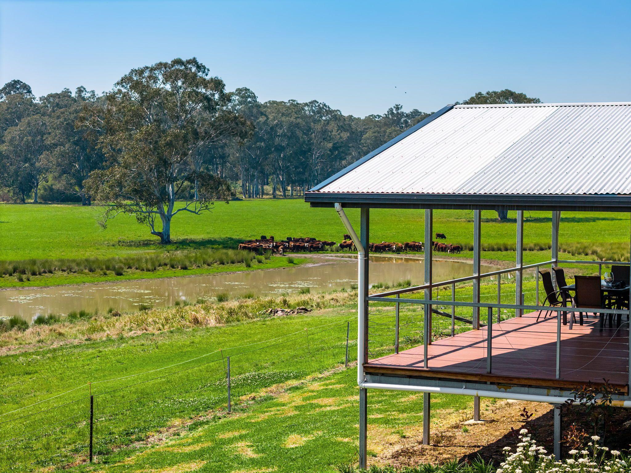 Modern Country Living on 55 Hectares - Space, Style & Serenity
