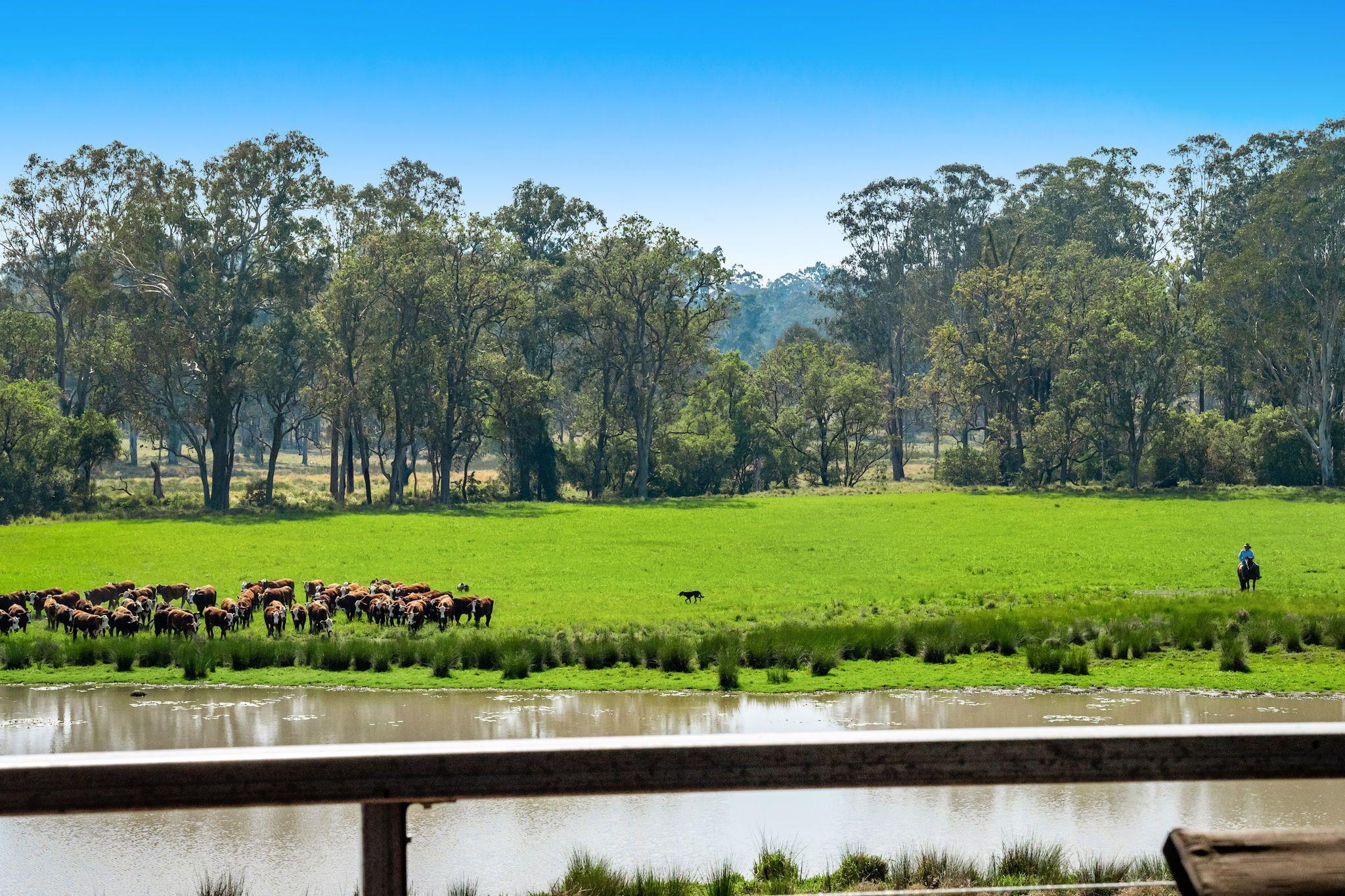 Modern Country Living on 55 Hectares - Space, Style & Serenity