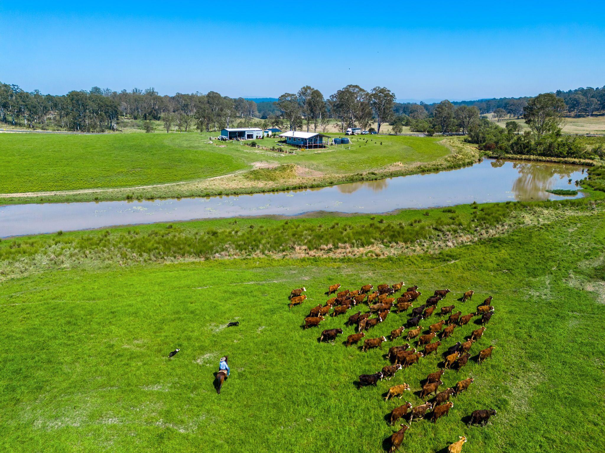 Modern Country Living on 55 Hectares - Space, Style & Serenity