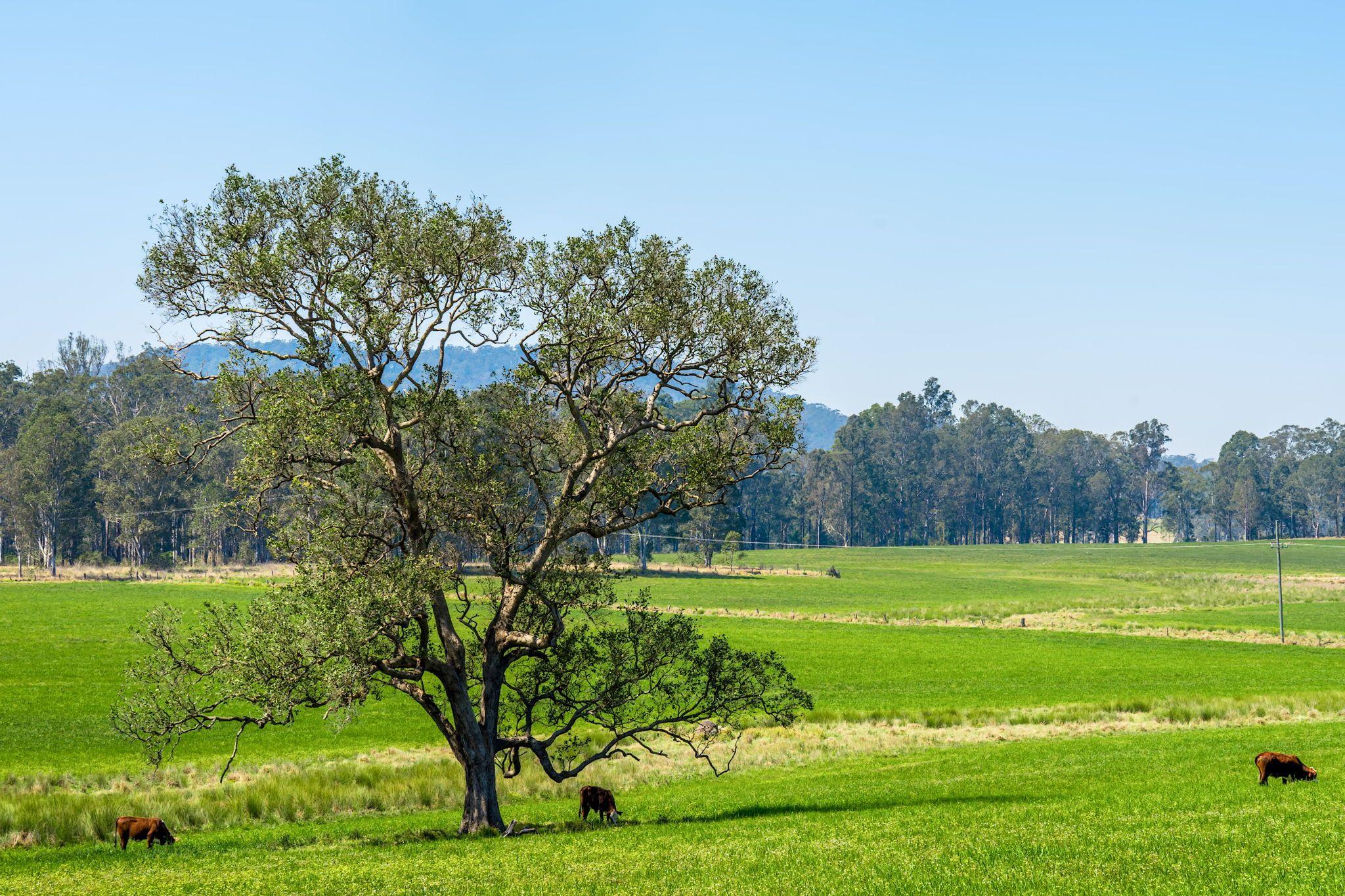Modern Country Living on 55 Hectares - Space, Style & Serenity