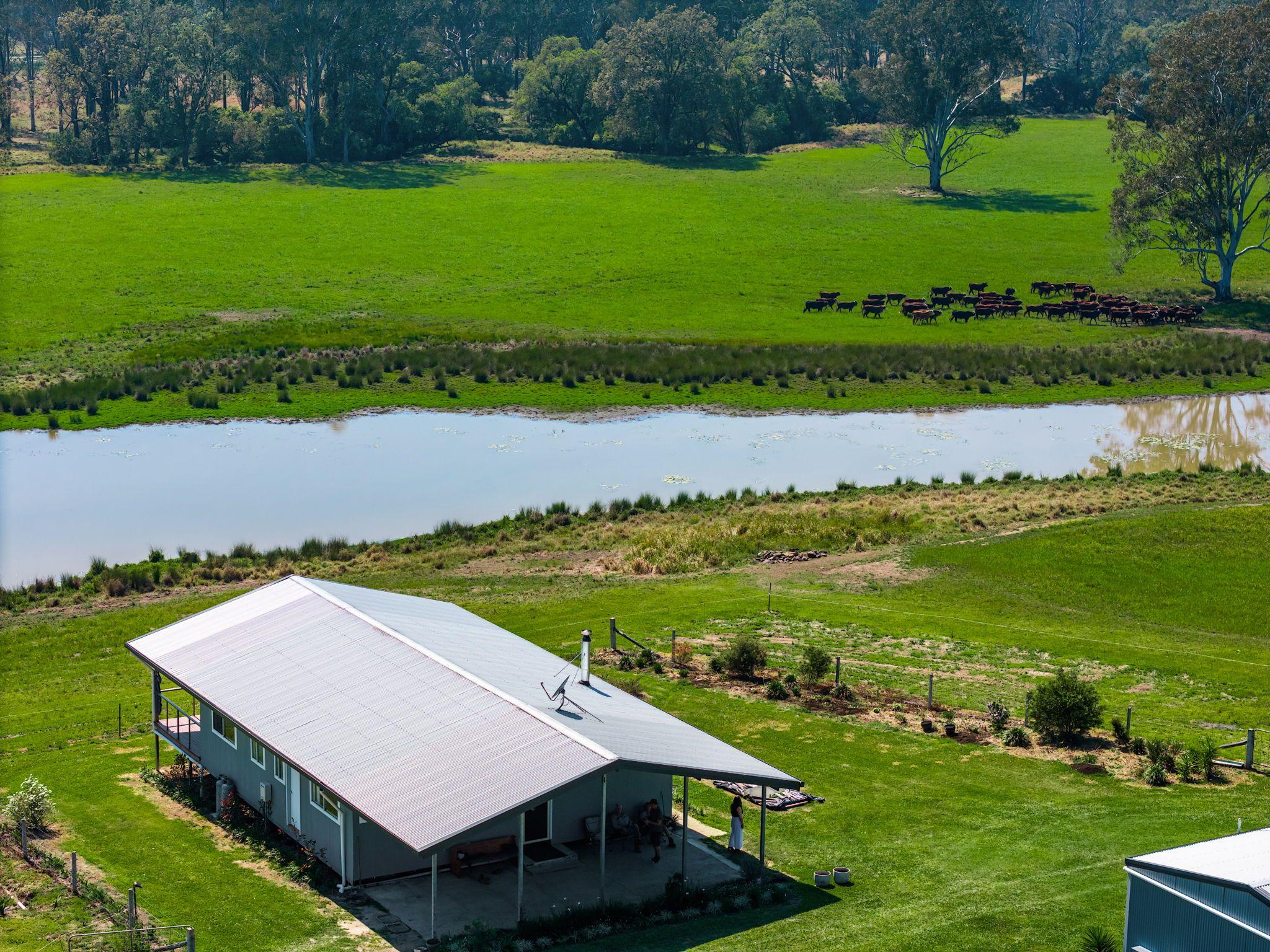 Modern Country Living on 55 Hectares - Space, Style & Serenity