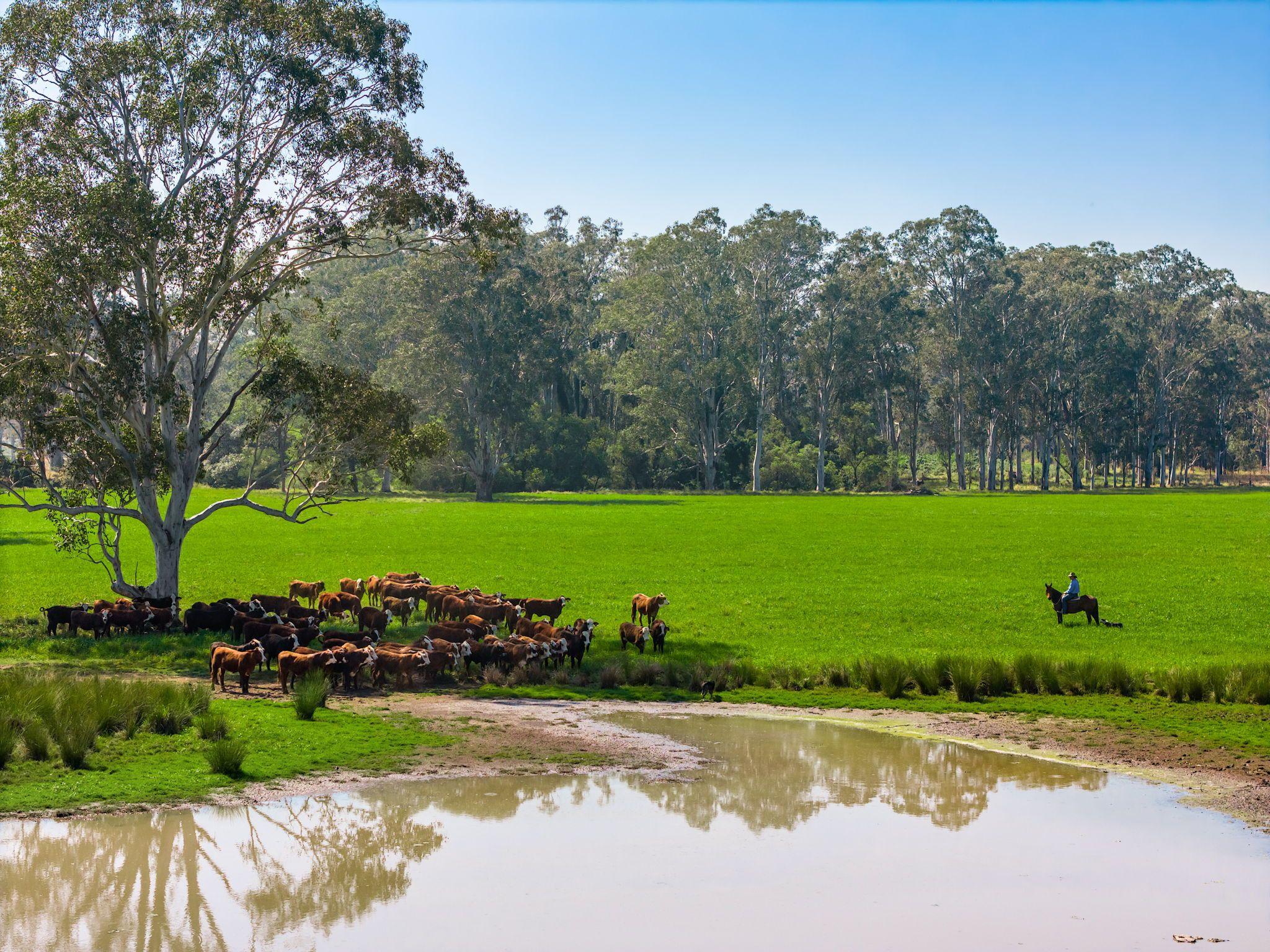 Modern Country Living on 55 Hectares - Space, Style & Serenity