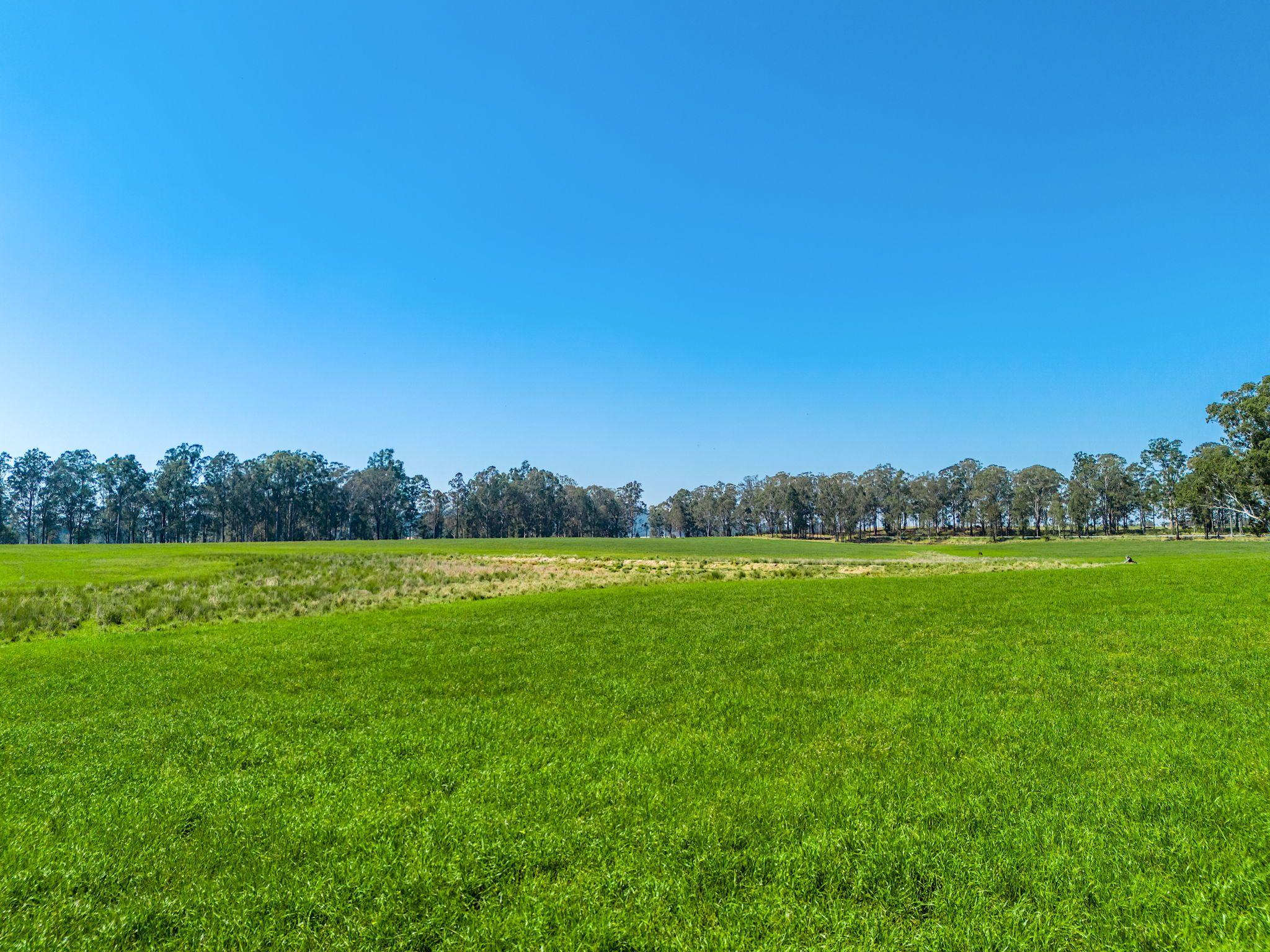 Modern Country Living on 55 Hectares - Space, Style & Serenity