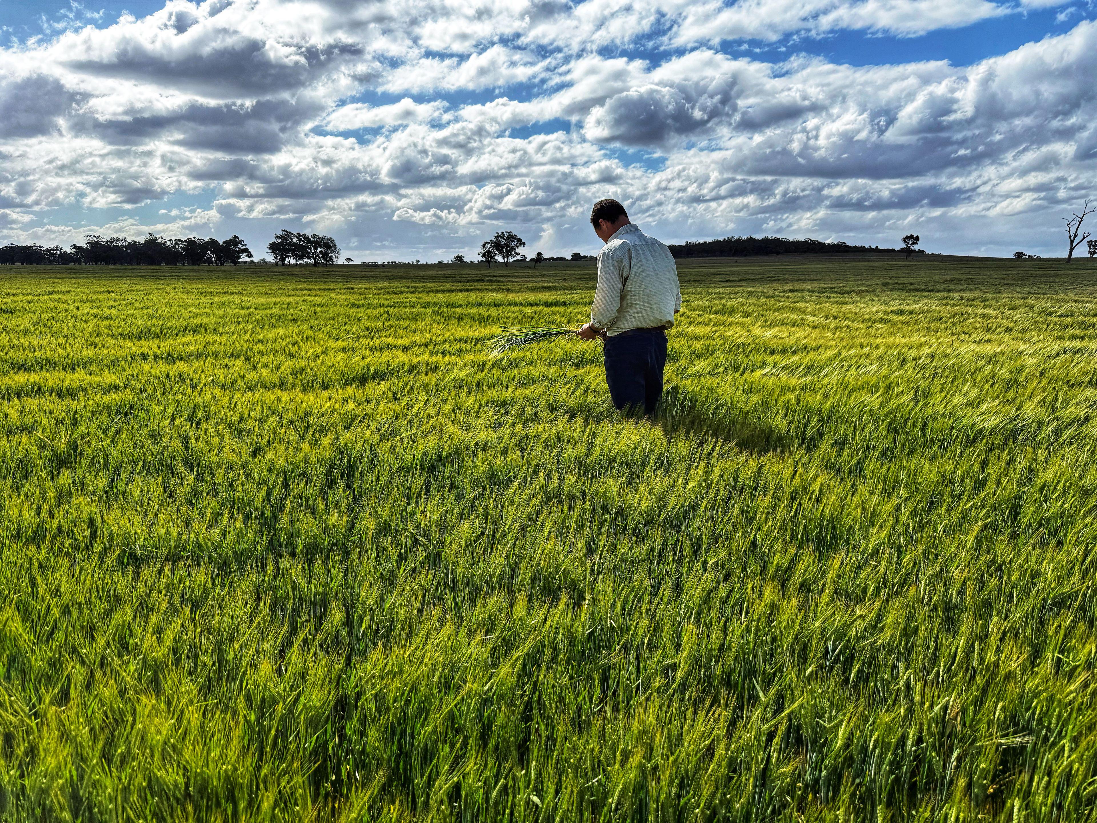 Prop-GPT: Mixed Farming: NSW Condobolin, NSW 2877 Humbug Creek Mixed Farming