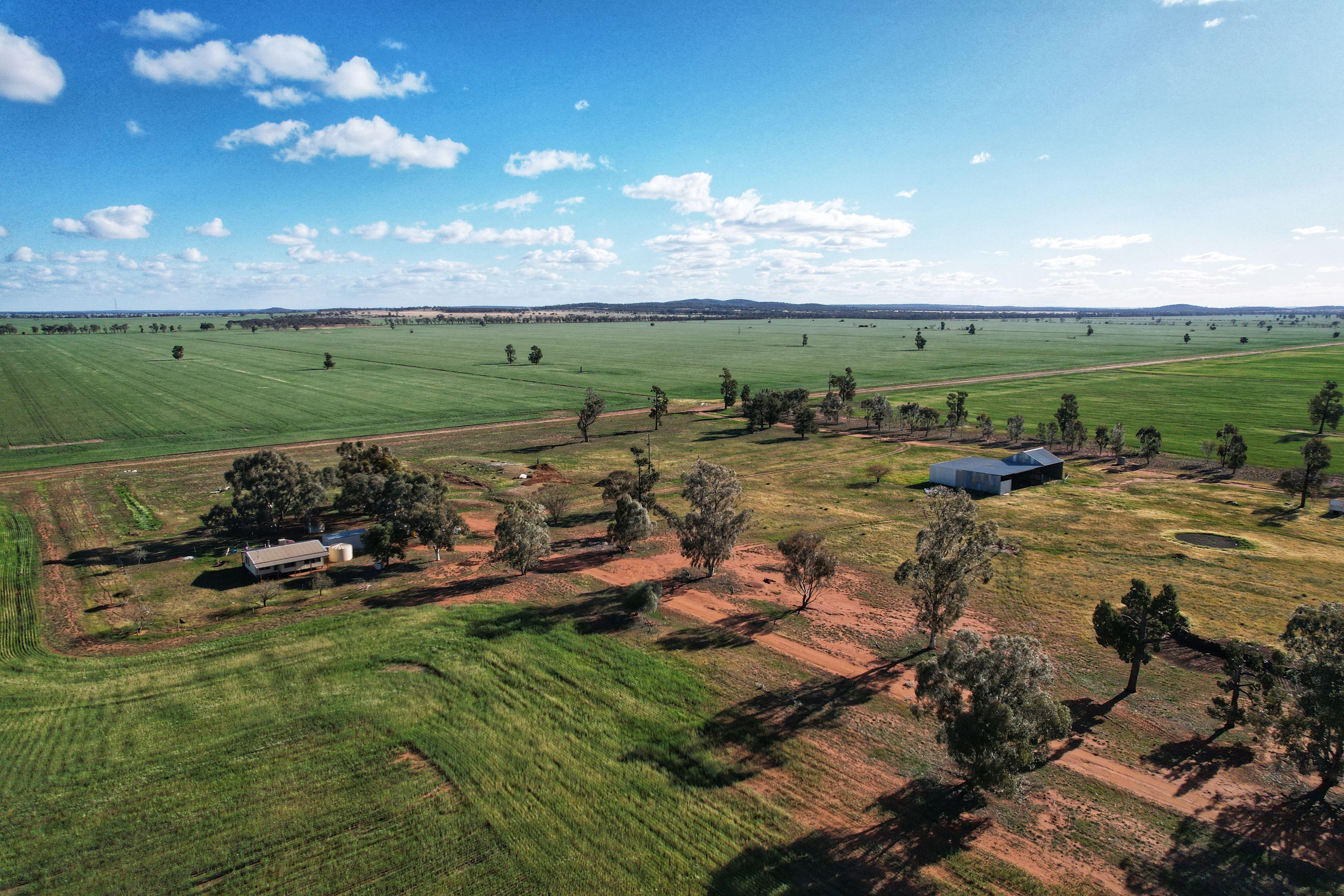 Prop-GPT: Cropping: NSW Condobolin, NSW 2877 Efficient Red Loam Farming