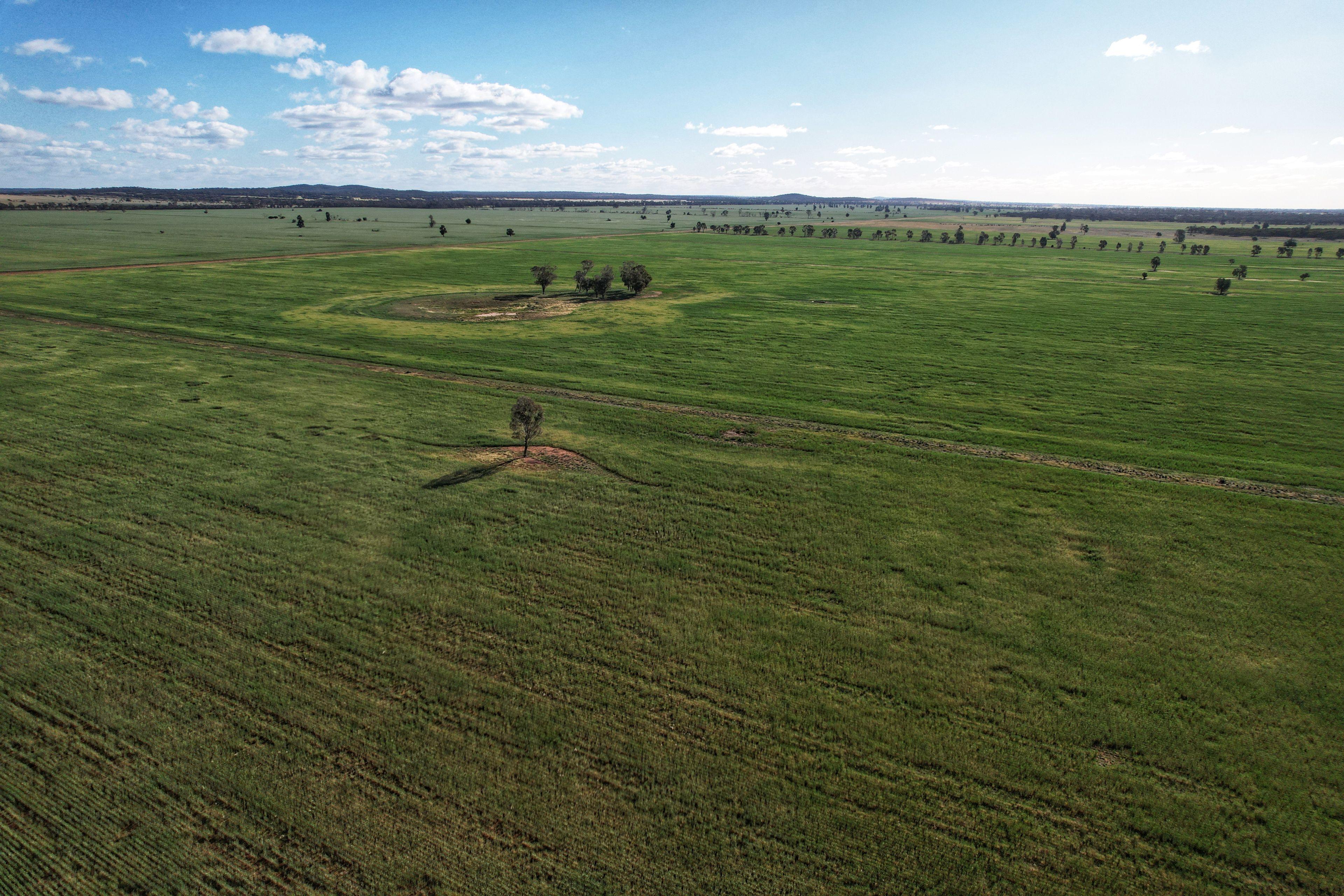 Efficient Red Loam Farming