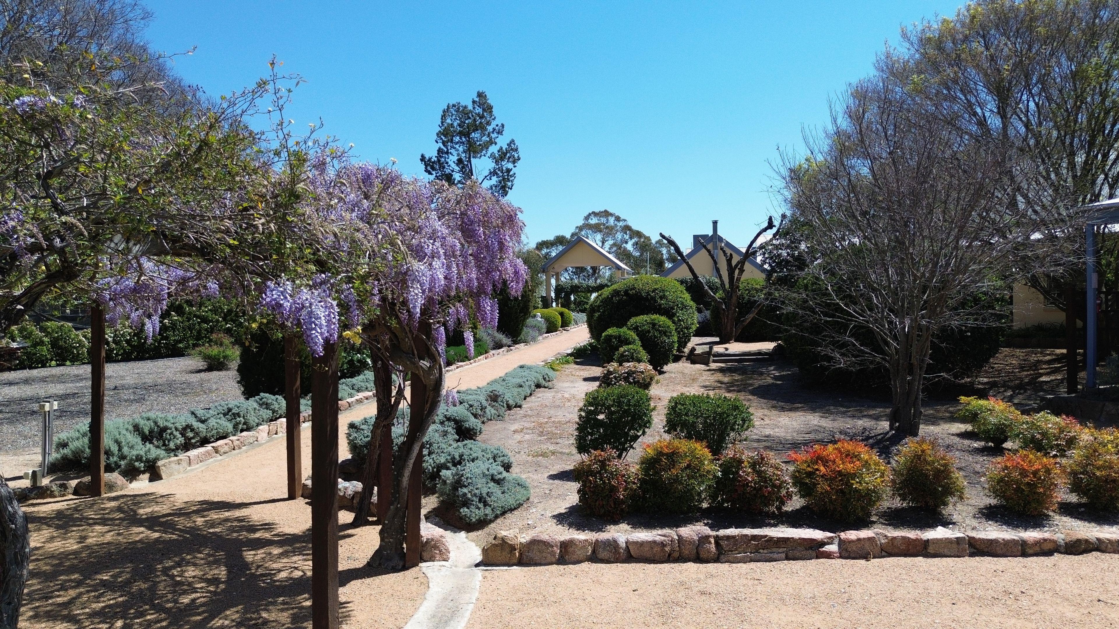 Vineyard Cottages & Café - where country charm meets commercial opportunity at the gateway to Queensland's Granite Belt.