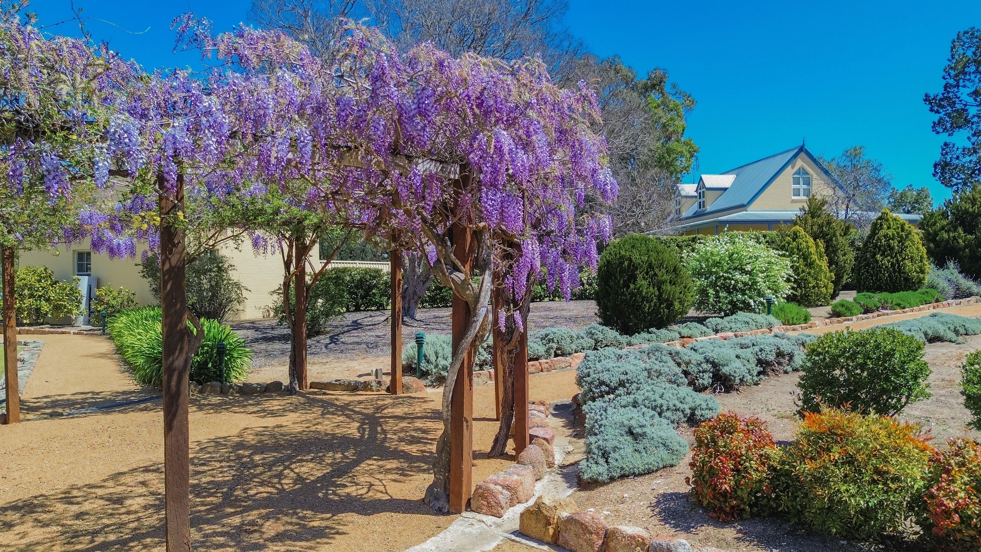 Vineyard Cottages & Café - where country charm meets commercial opportunity at the gateway to Queensland's Granite Belt.