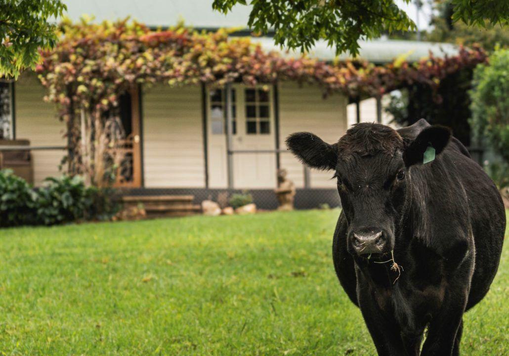 'Channa' - Your Private Highlander's Retreat with Breathtaking Views & Endless Possibilities