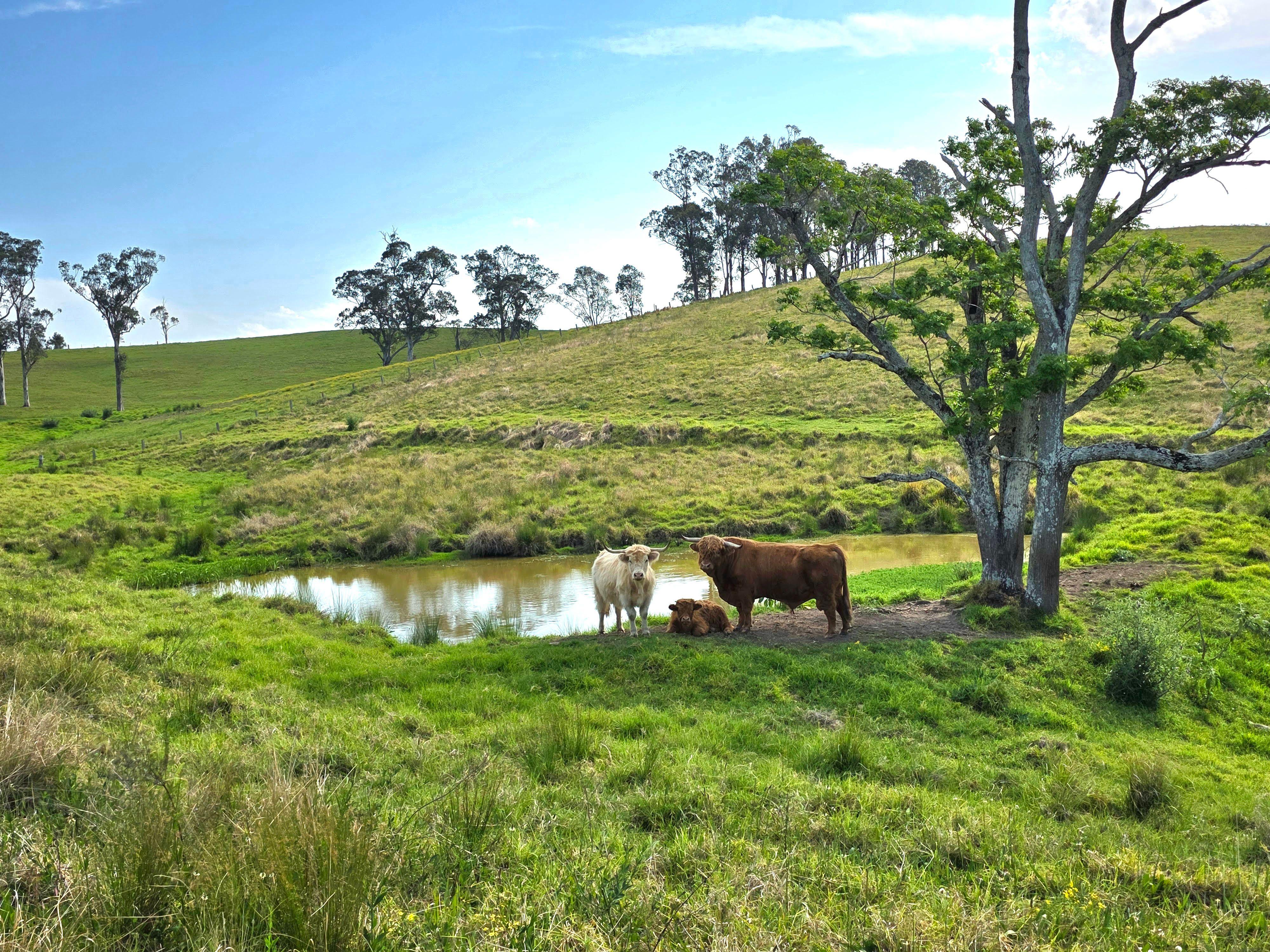 'Channa' - Your Private Highlander's Retreat with Breathtaking Views & Endless Possibilities