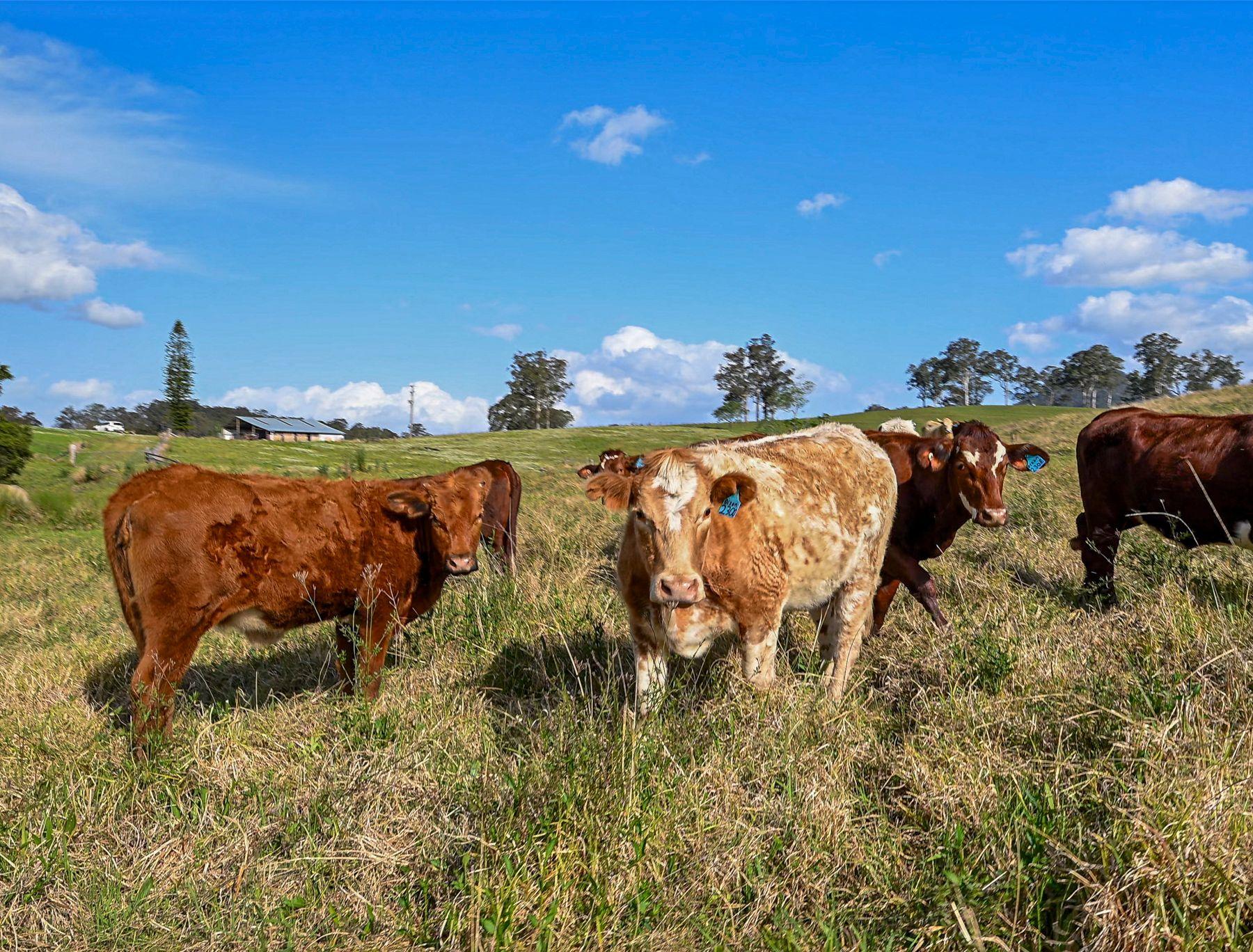 'Channa' - Your Private Highlander's Retreat with Breathtaking Views & Endless Possibilities