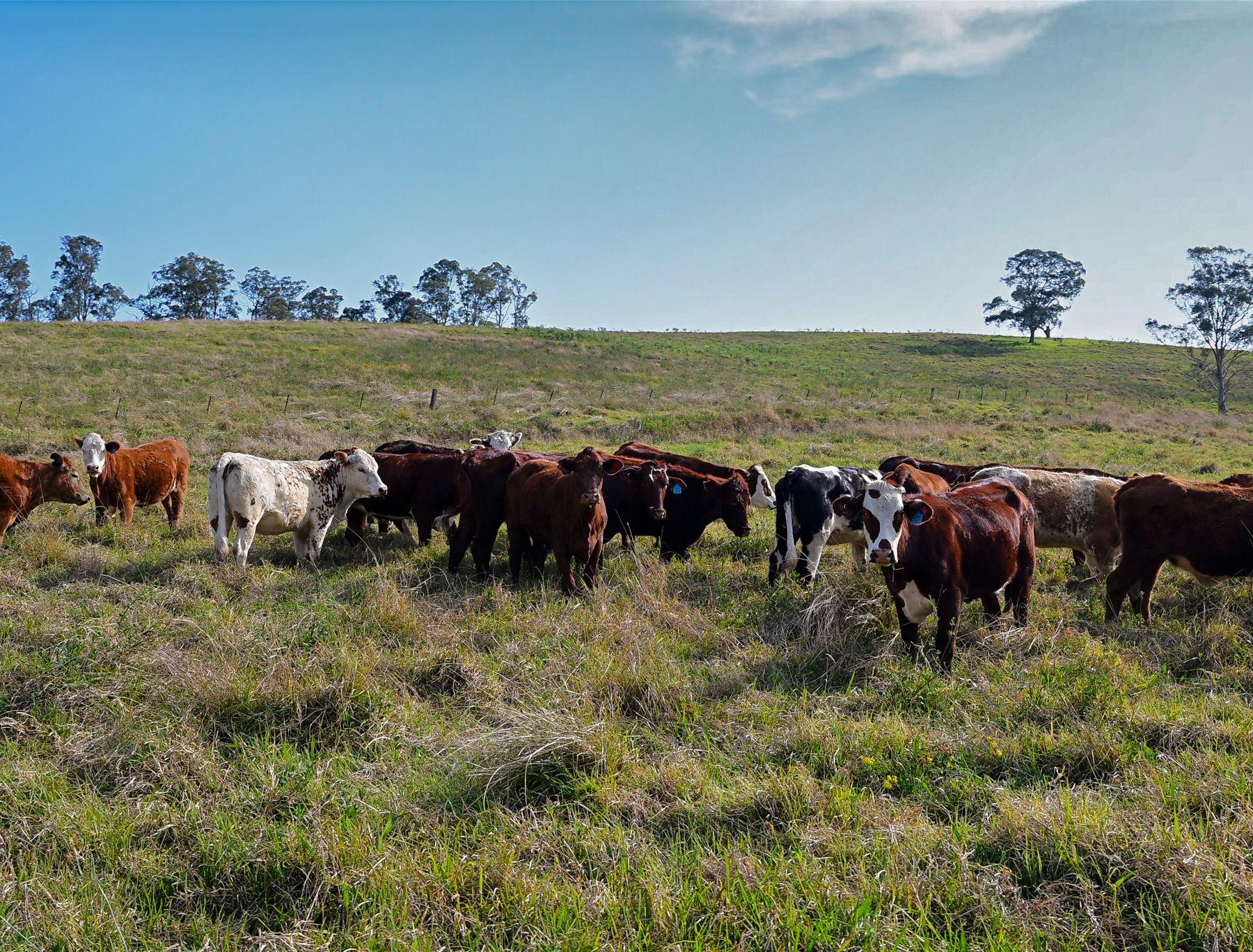 'Channa' - Your Private Highlander's Retreat with Breathtaking Views & Endless Possibilities