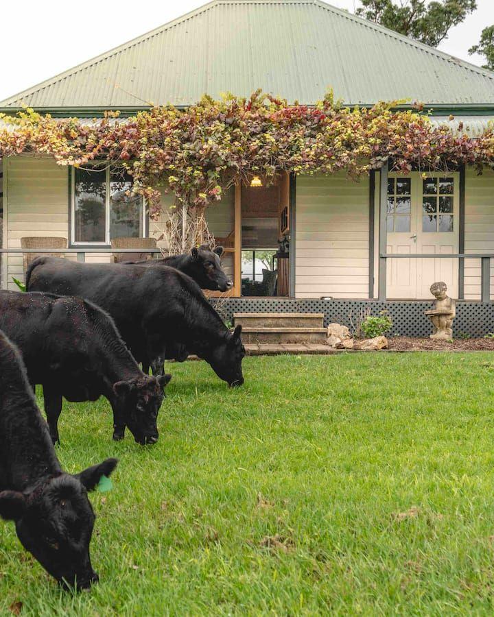 'Channa' - Your Private Highlander's Retreat with Breathtaking Views & Endless Possibilities
