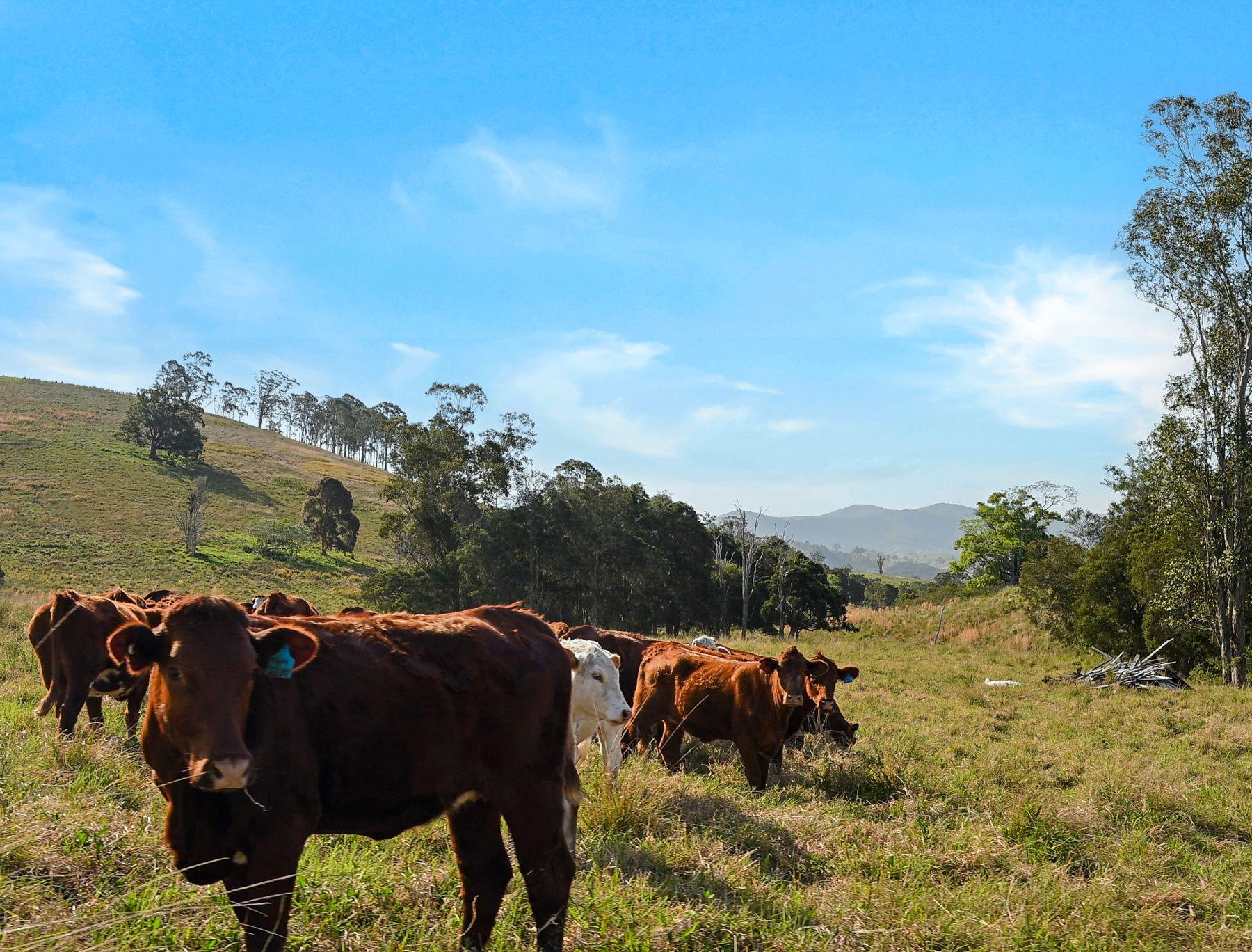 'Channa' - Your Private Highlander's Retreat with Breathtaking Views & Endless Possibilities