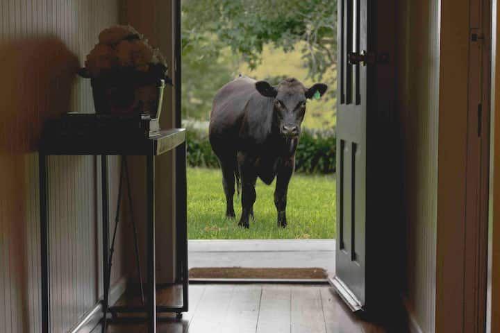 'Channa' - Your Private Highlander's Retreat with Breathtaking Views & Endless Possibilities