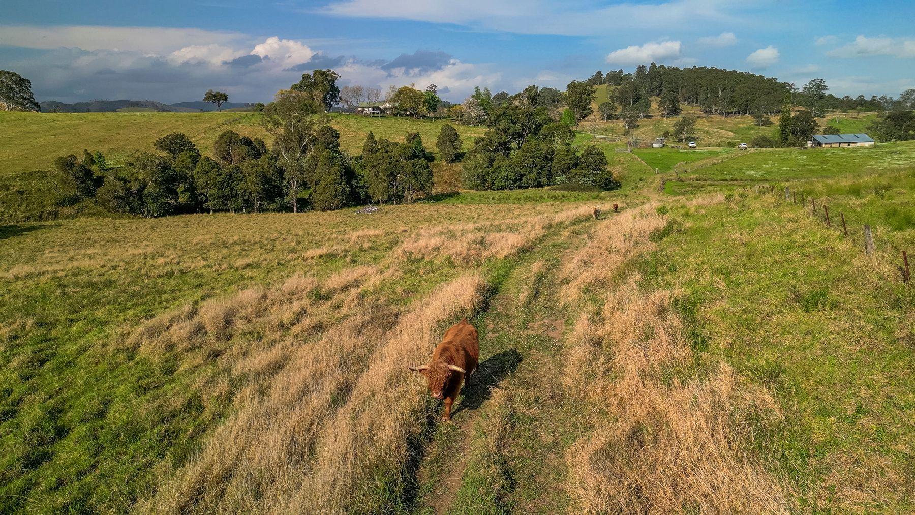 'Channa' - Your Private Highlander's Retreat with Breathtaking Views & Endless Possibilities