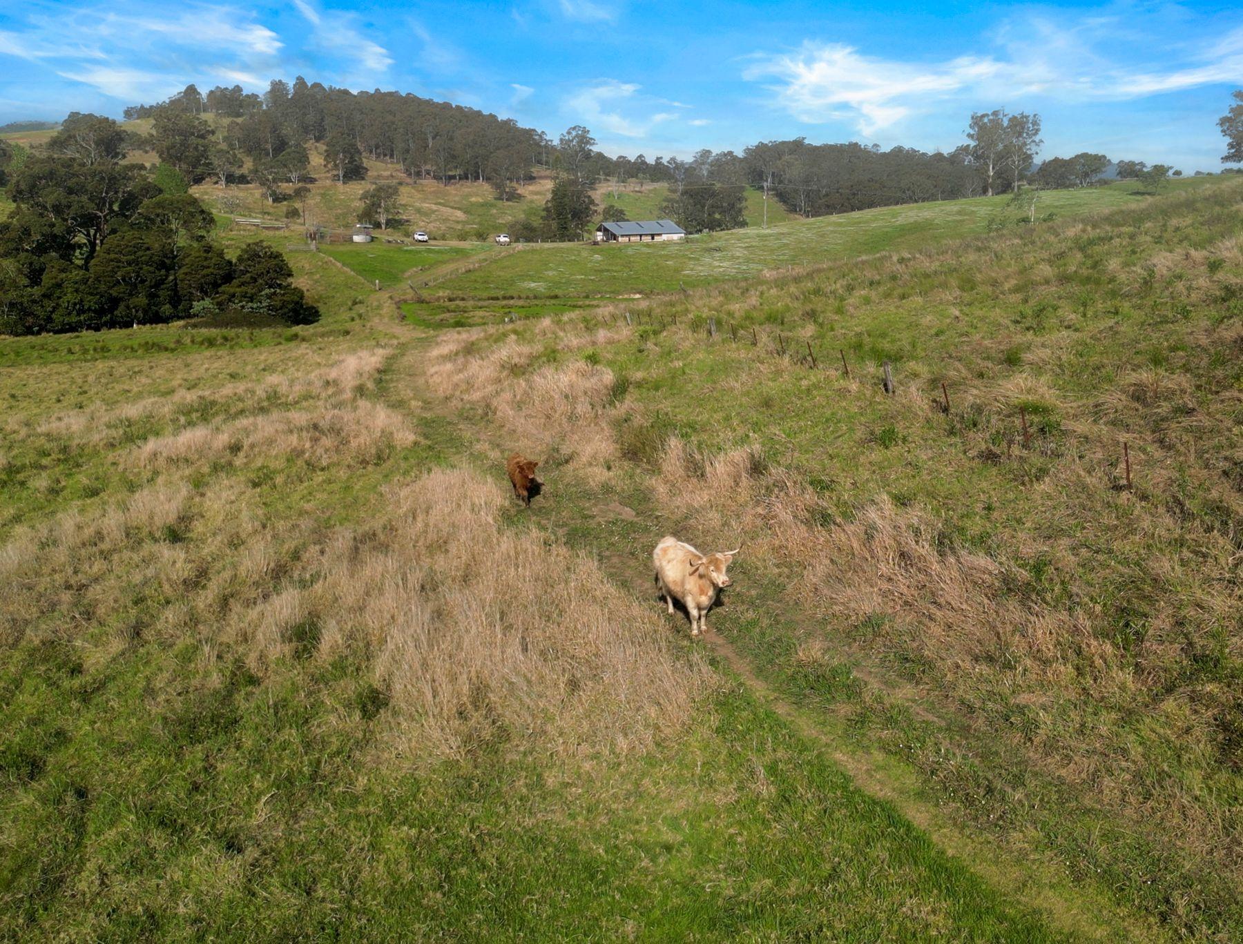 'Channa' - Your Private Highlander's Retreat with Breathtaking Views & Endless Possibilities