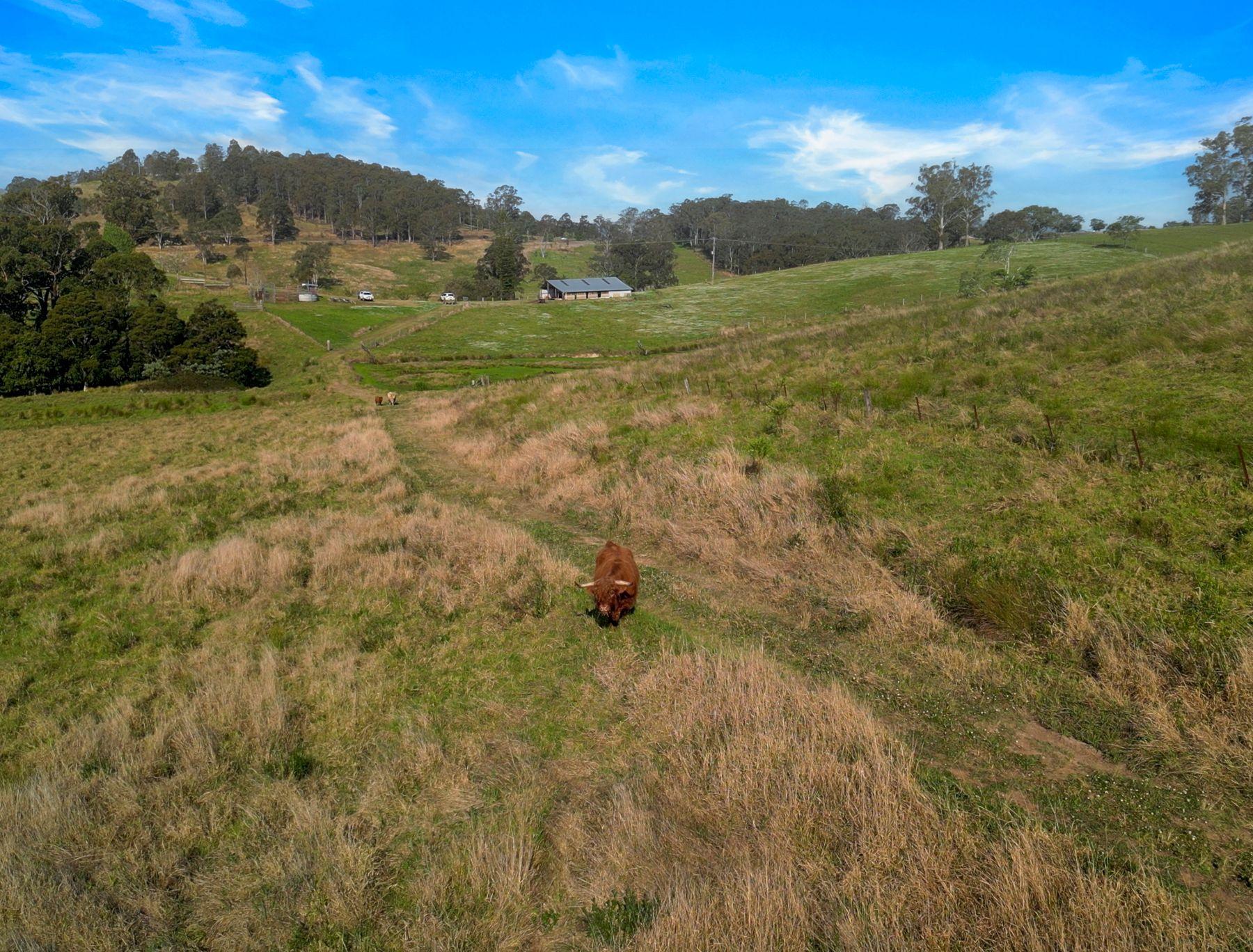 'Channa' - Your Private Highlander's Retreat with Breathtaking Views & Endless Possibilities