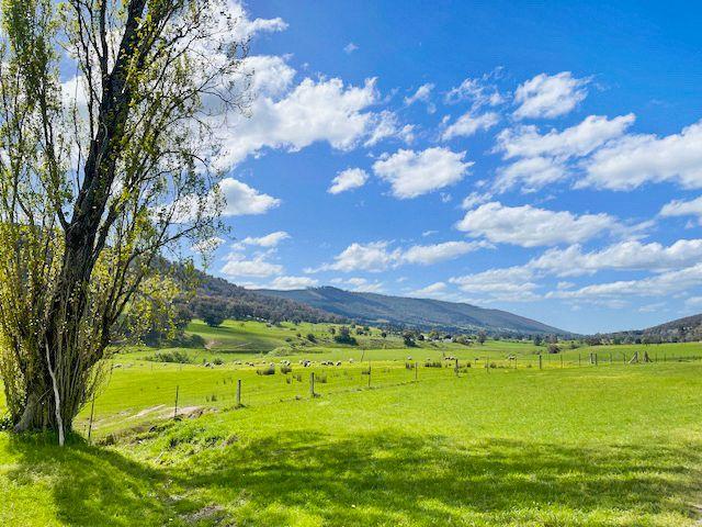 Charming Rural Farmhouse with Breathtaking Views