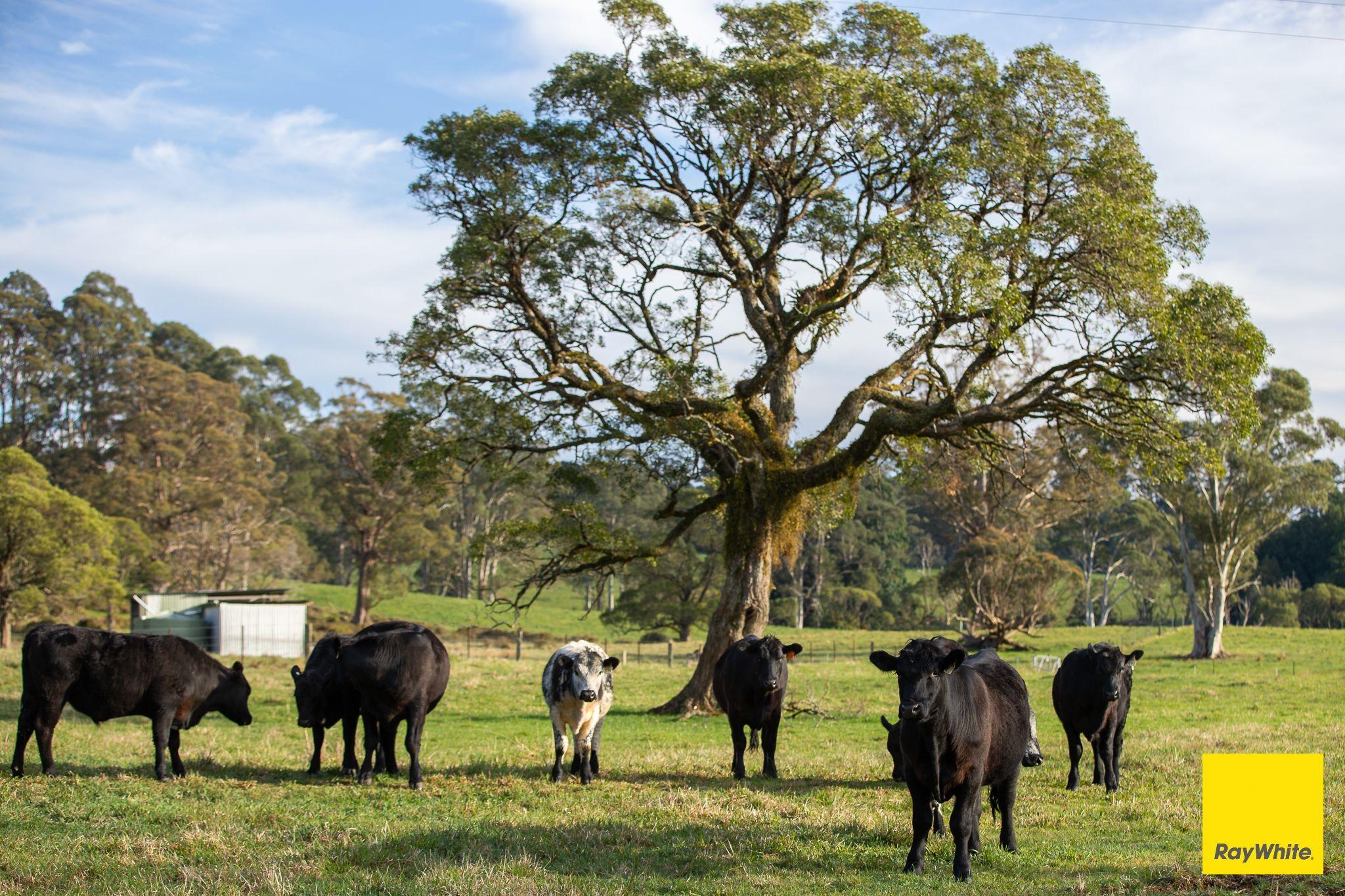 The Perfect Balance of Productivity and Conservation