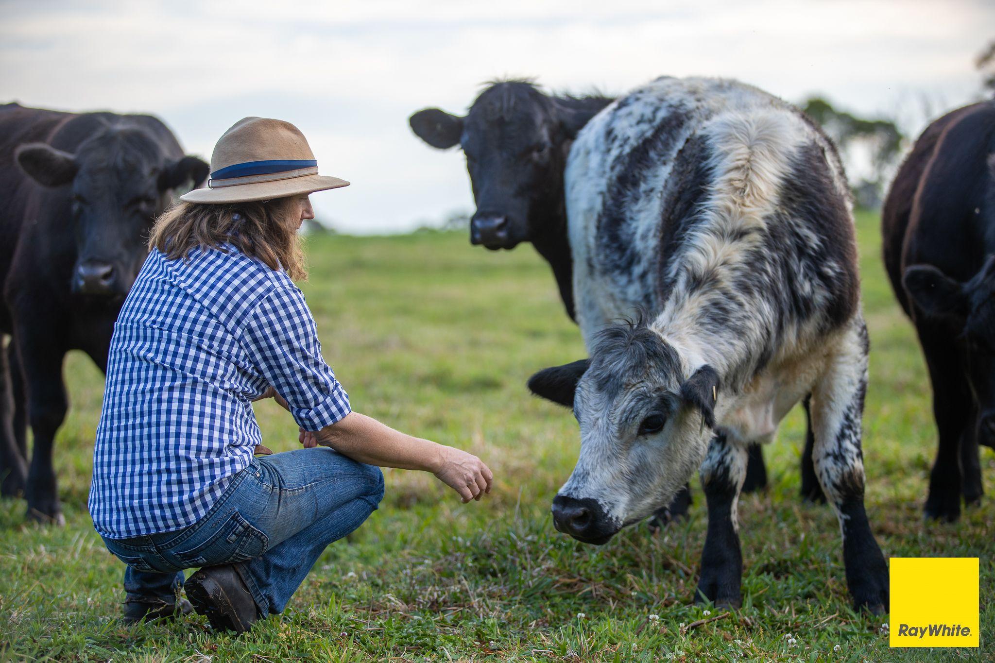 The Perfect Balance of Productivity and Conservation