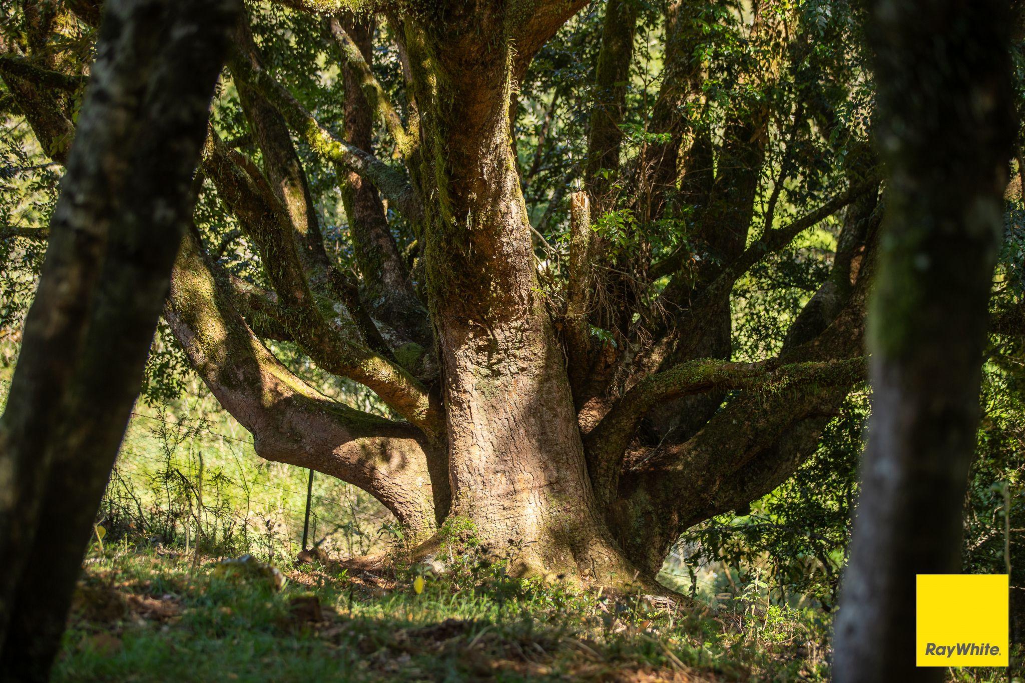 The Perfect Balance of Productivity and Conservation