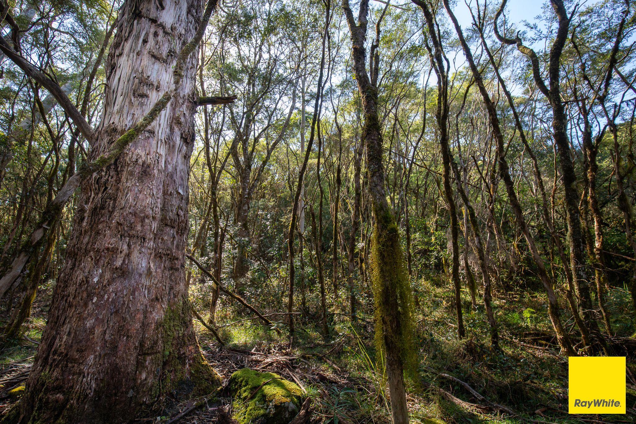 The Perfect Balance of Productivity and Conservation