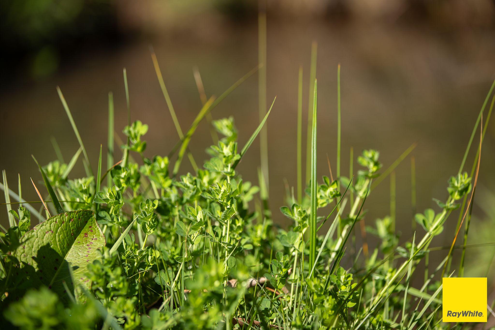The Perfect Balance of Productivity and Conservation