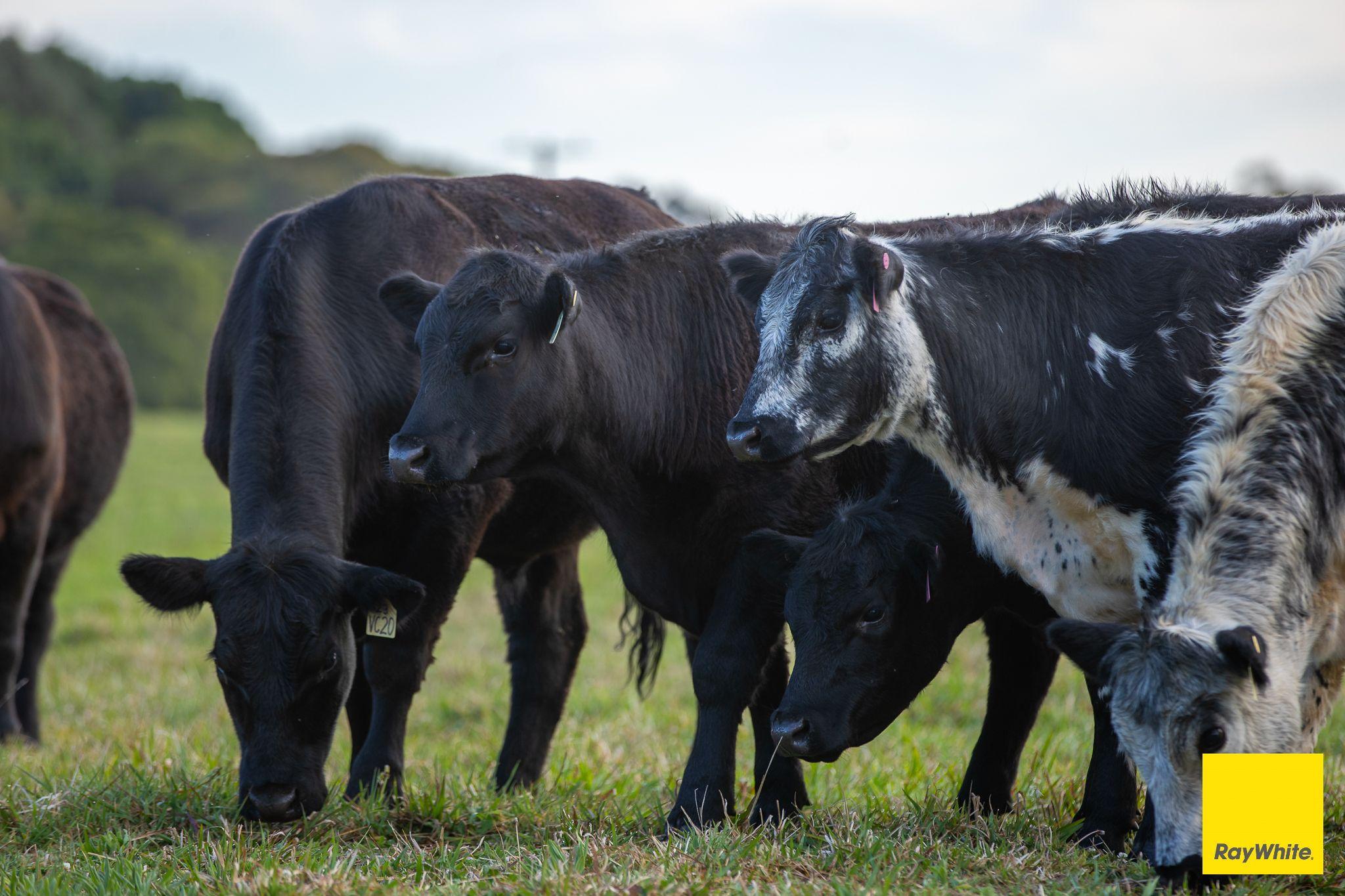 The Perfect Balance of Productivity and Conservation